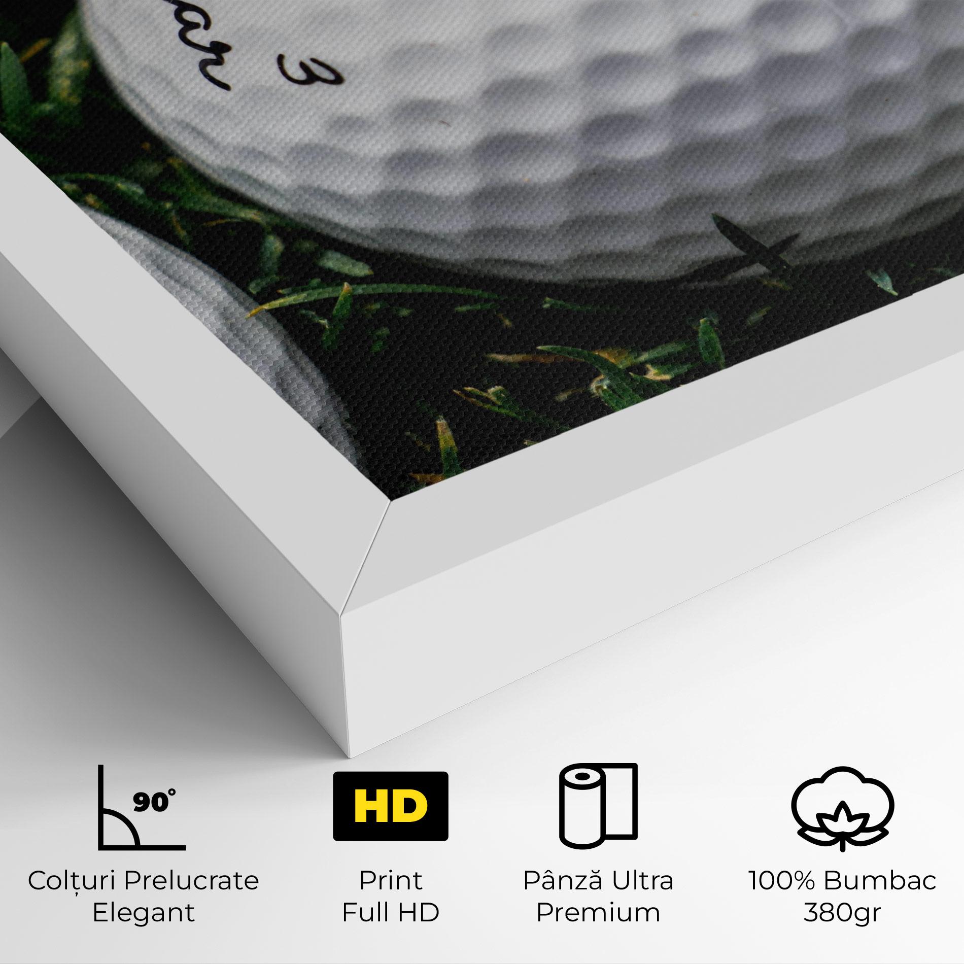 Tablou Canvas Sugar Golf mockup 4
