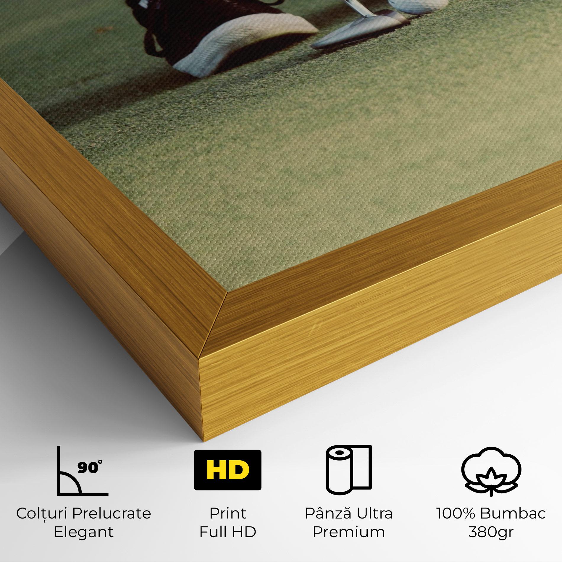 Tablou Canvas Converse Golf Ball mockup 4