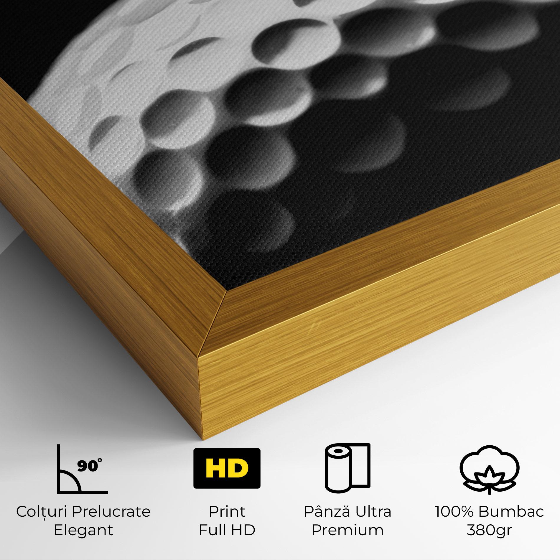 Tablou Canvas Golf Ball Close Up mockup 4