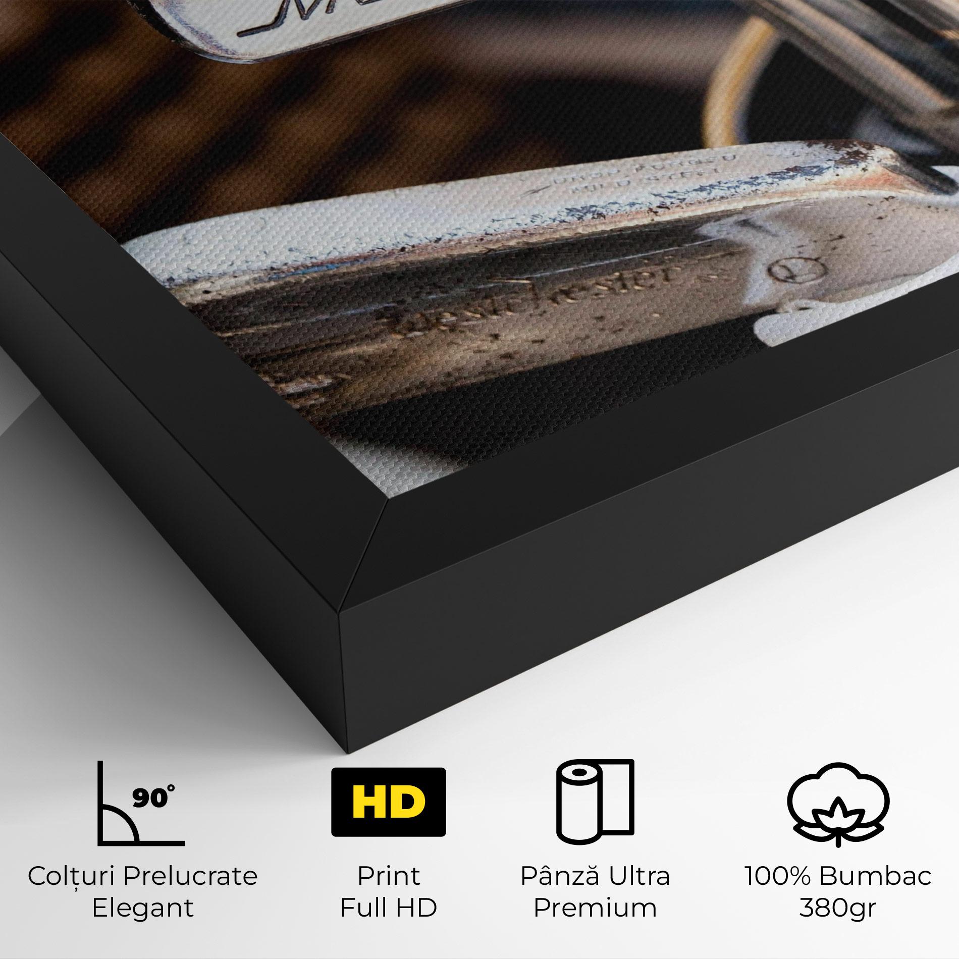 Tablou Canvas Silver Golf Club mockup 4