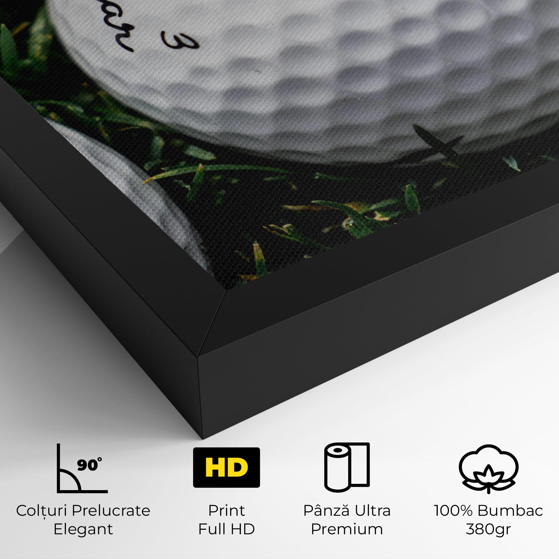Tablou Canvas Sugar Golf mockup 4