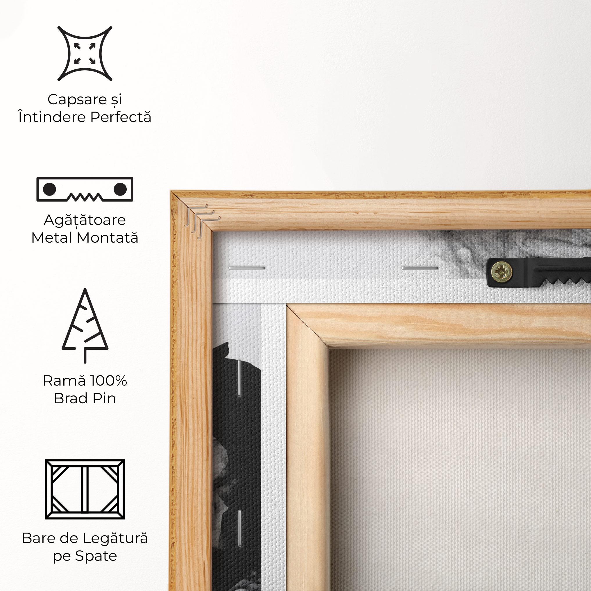 Tablou Canvas Black Smoke Golf mockup 5