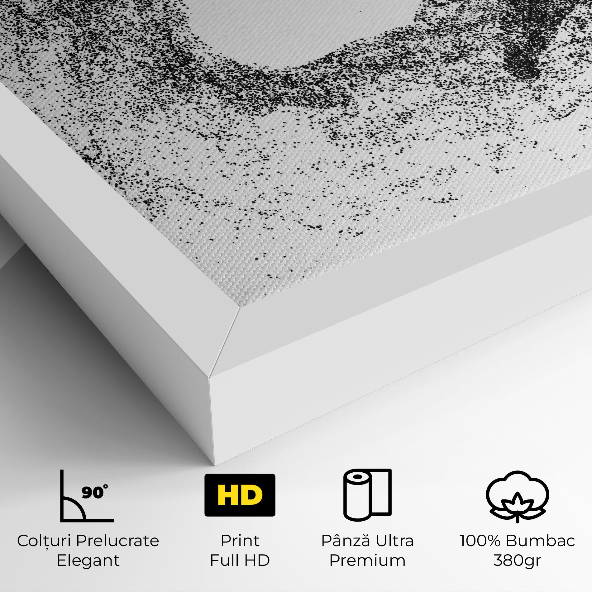 Tablou Canvas Hockey Playing mockup 4