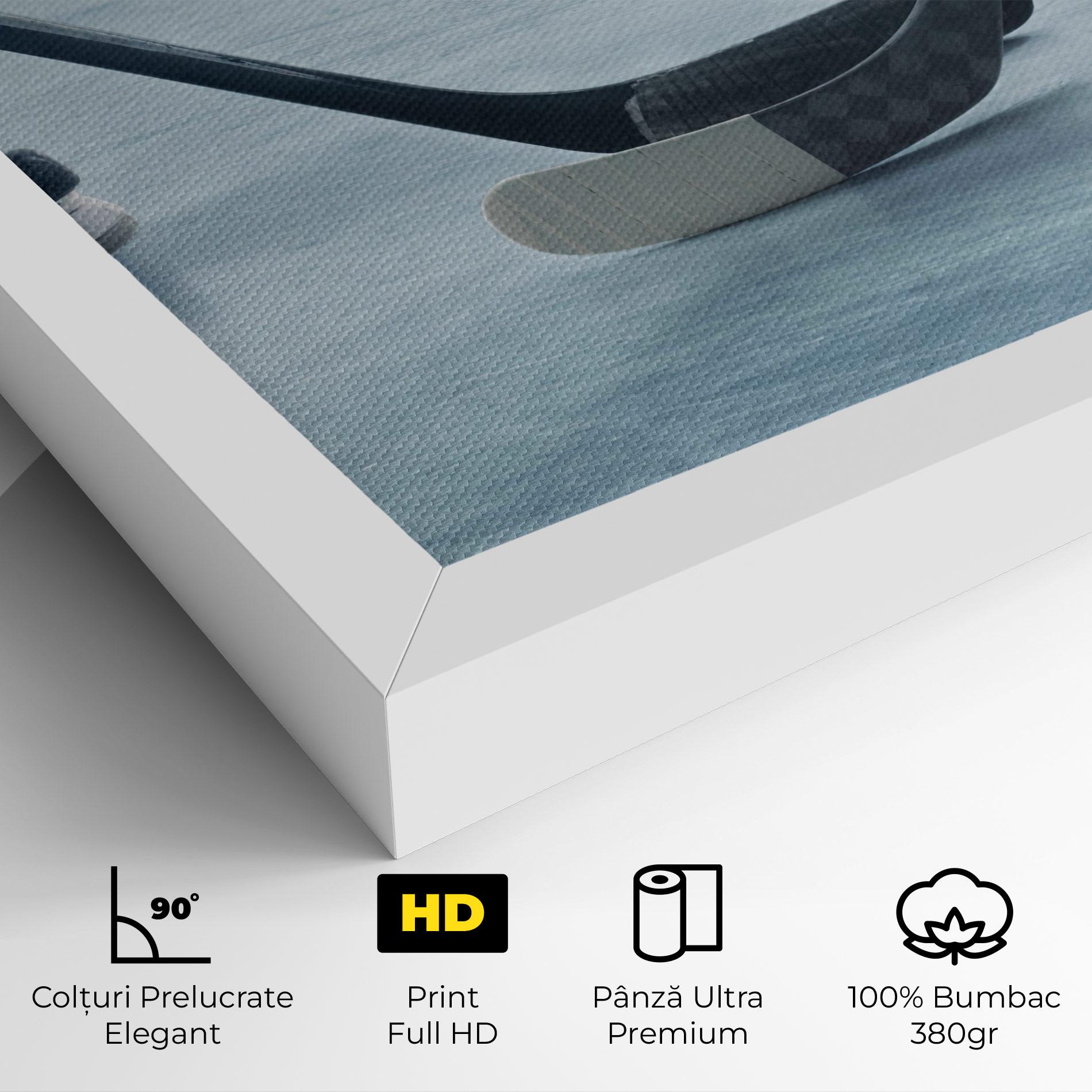Tablou Canvas Ice Insight mockup 4