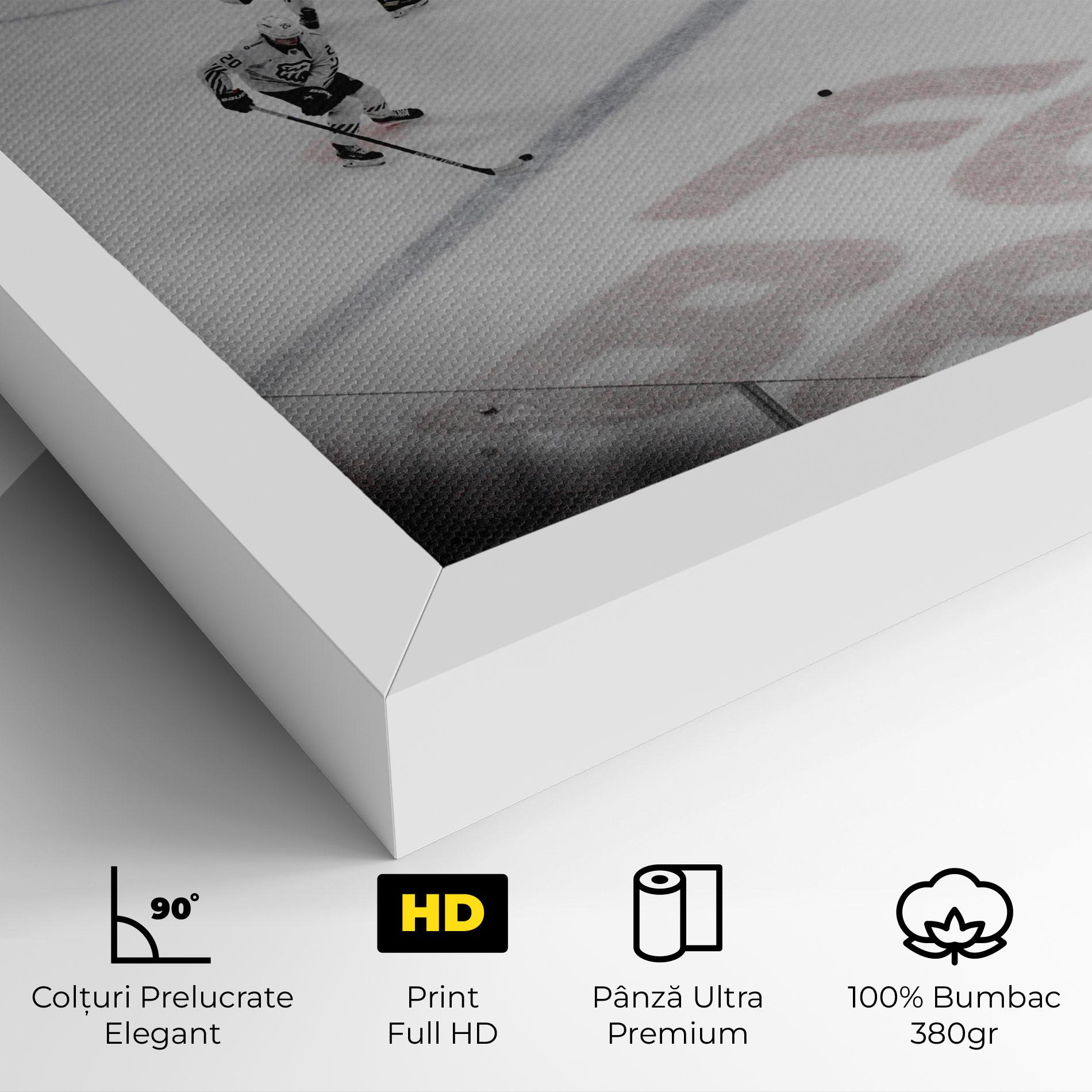 Tablou Canvas Ice Intuition mockup 4