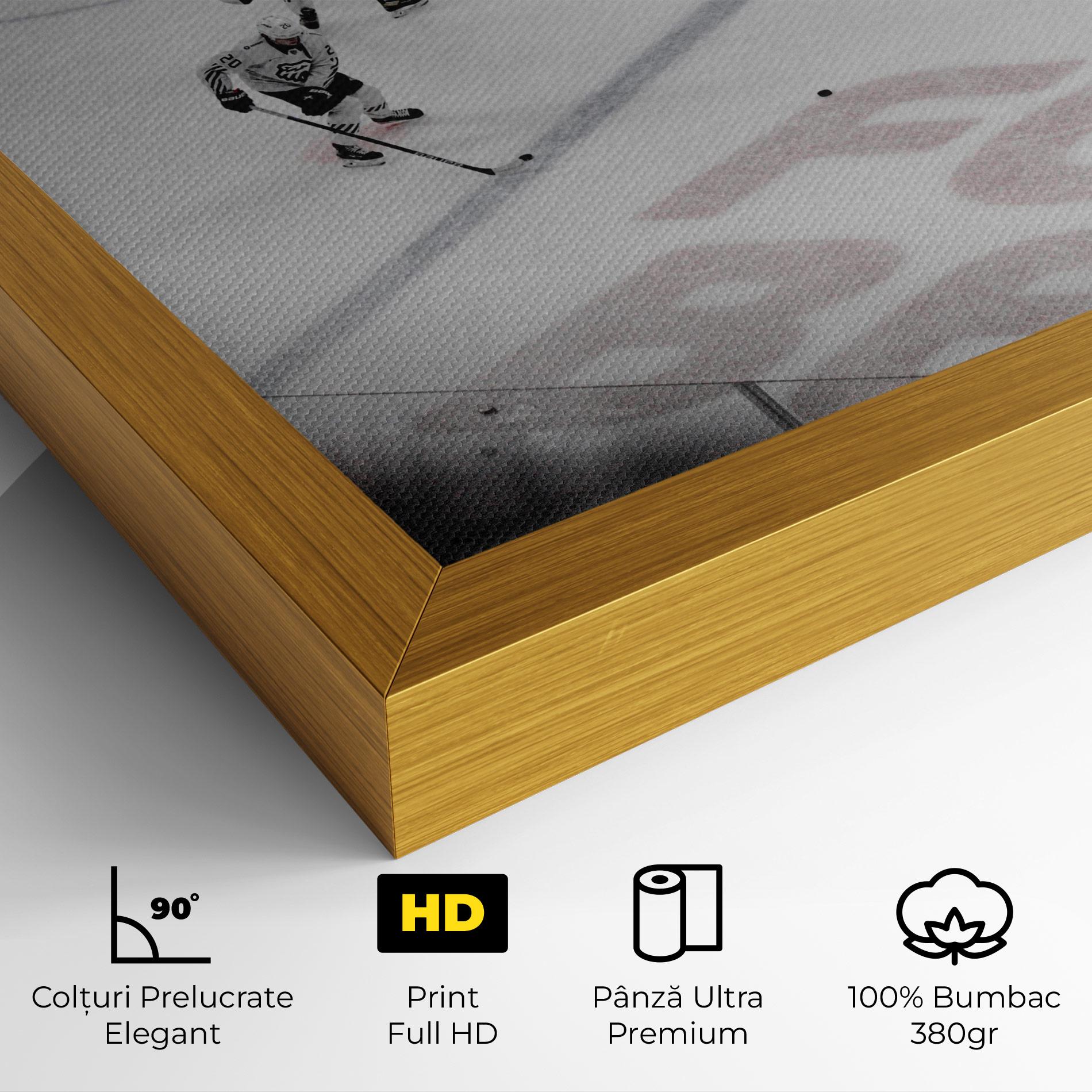 Tablou Canvas Ice Intuition mockup 4