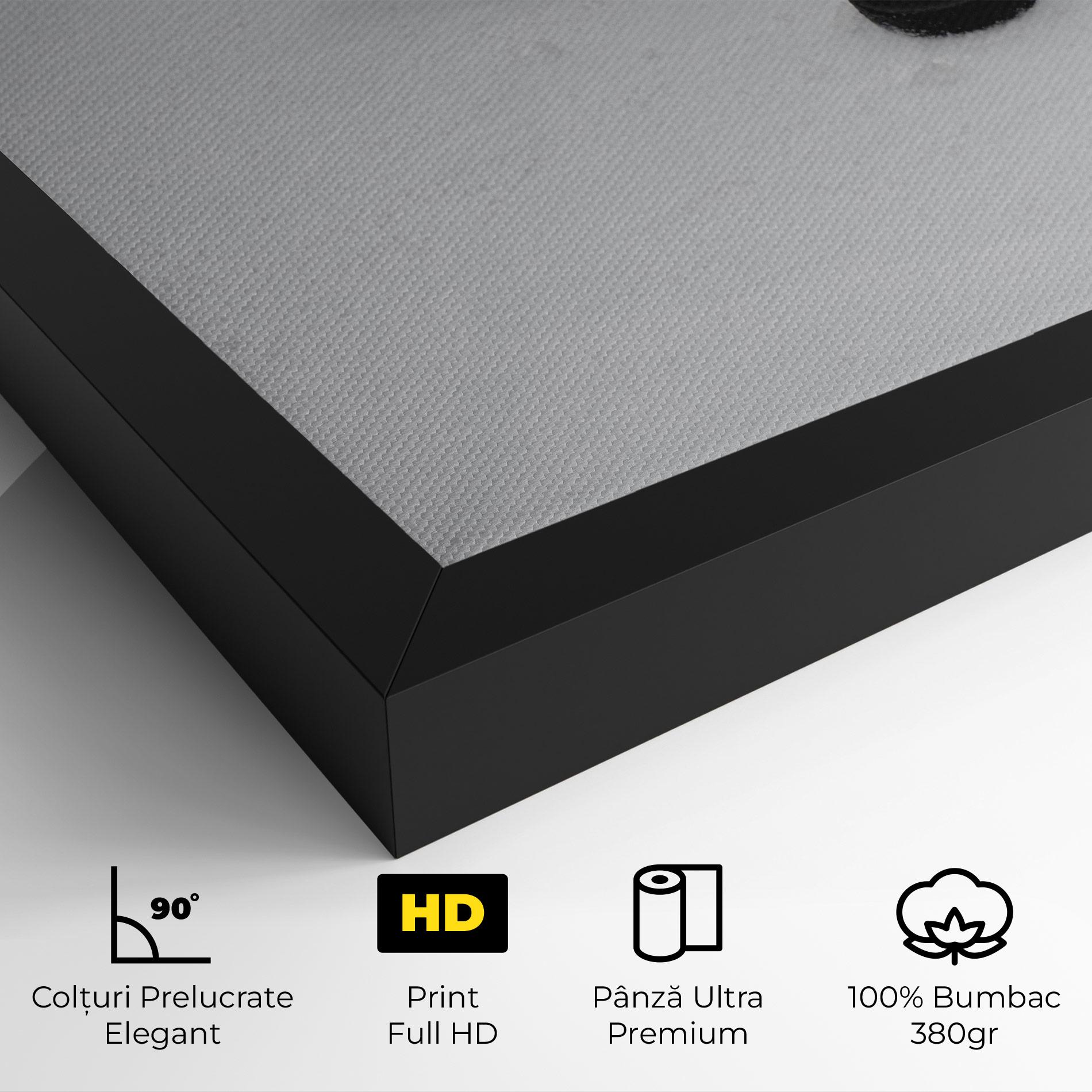 Tablou Canvas Hockey Puck mockup 4