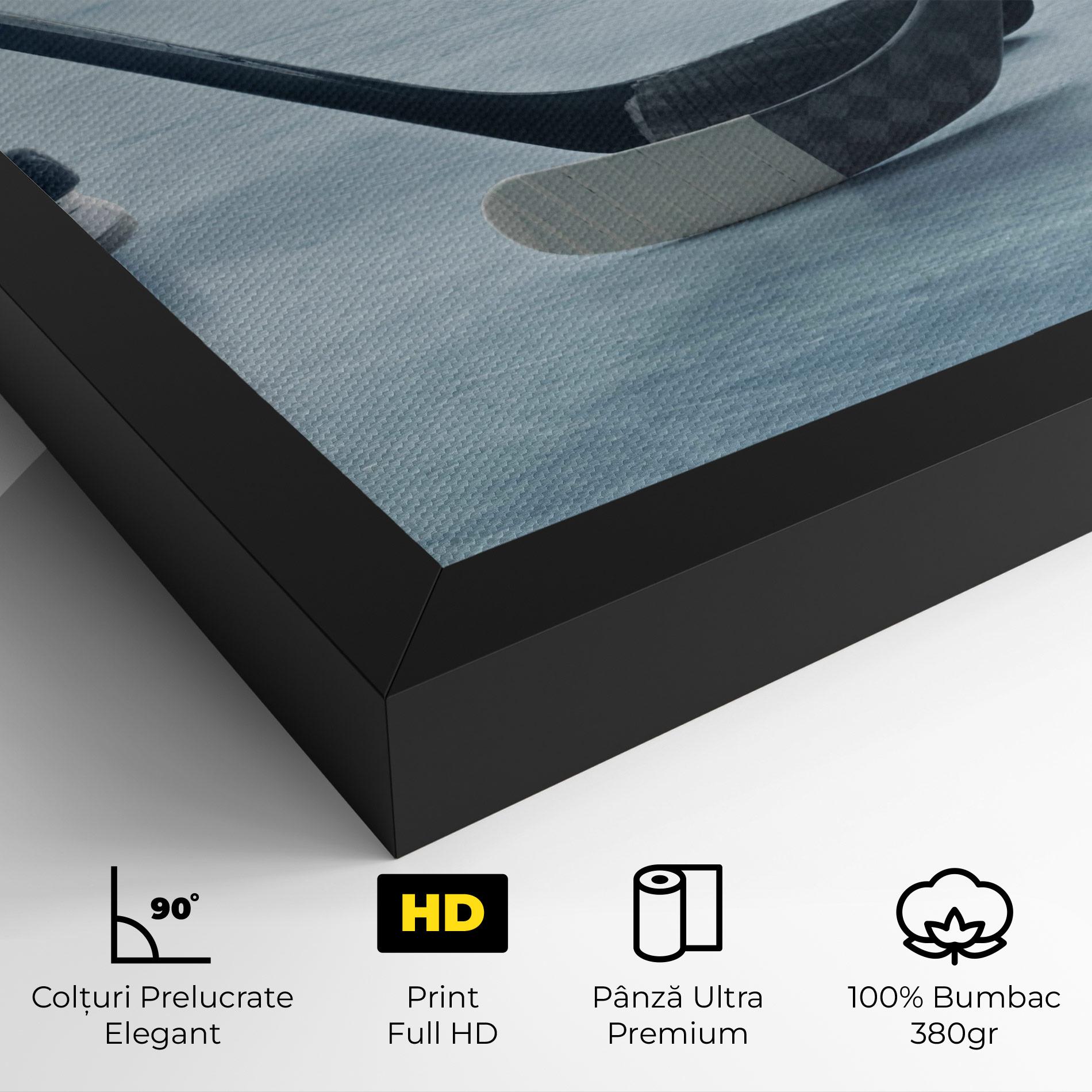 Tablou Canvas Ice Insight mockup 4