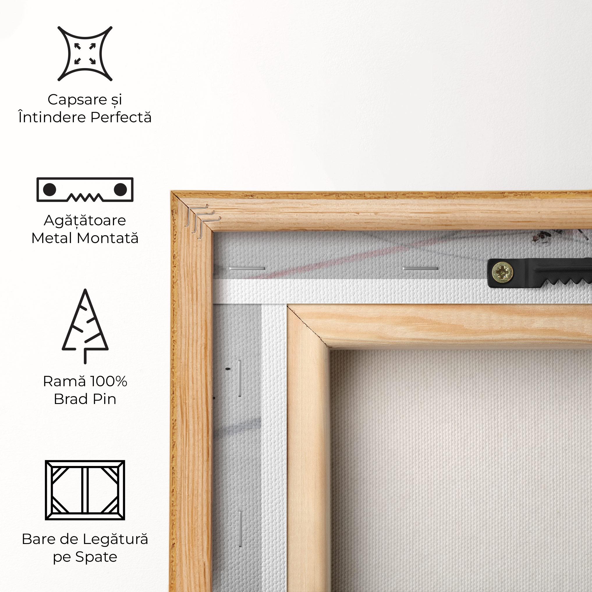 Tablou Canvas Ice Intuition mockup 5