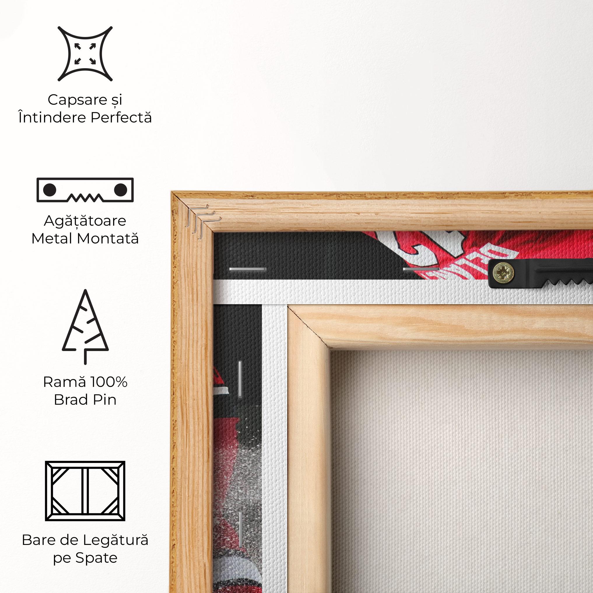 Tablou Canvas Red Hokey Player mockup 5