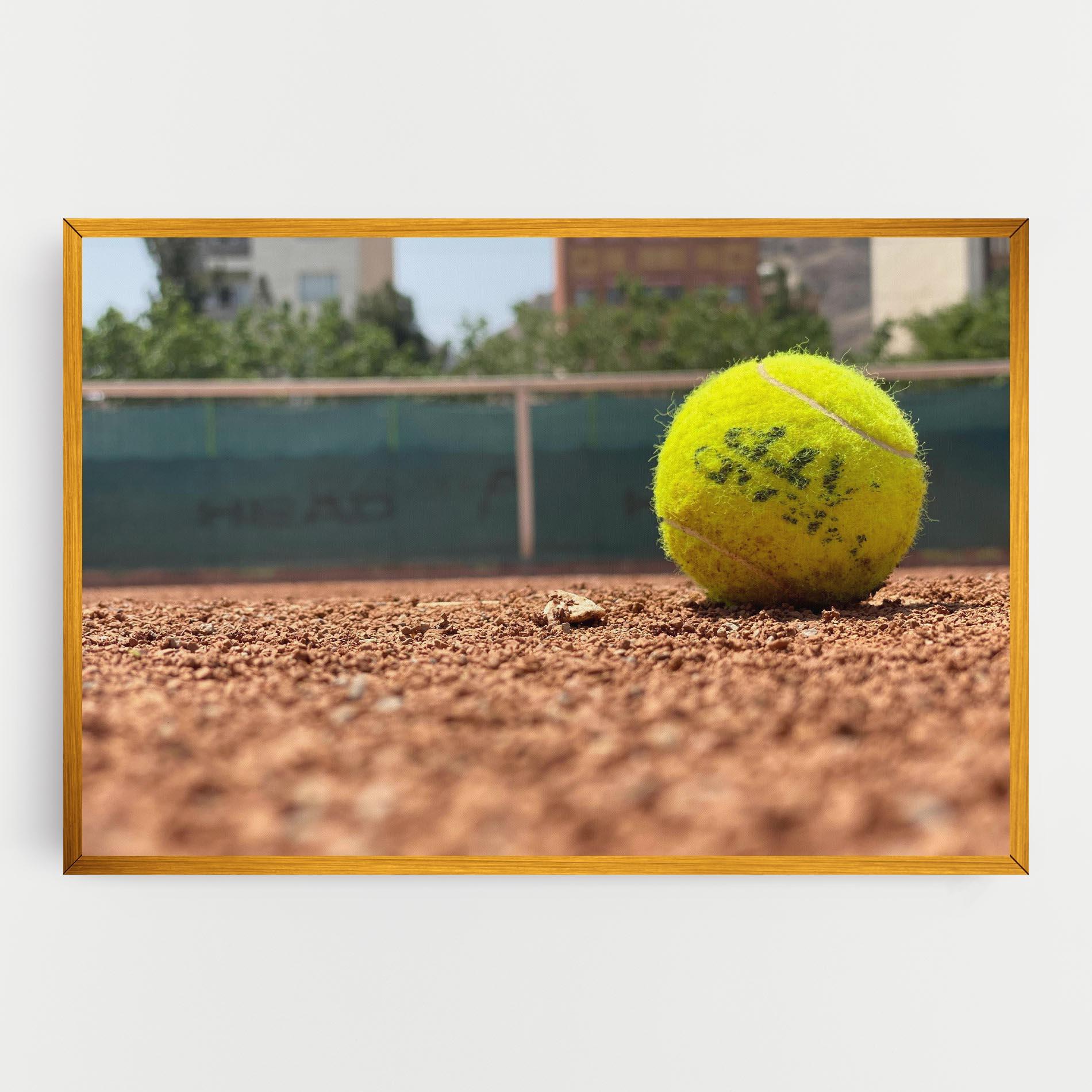 Tablou Canvas Lost Tennis Ball mockup 0