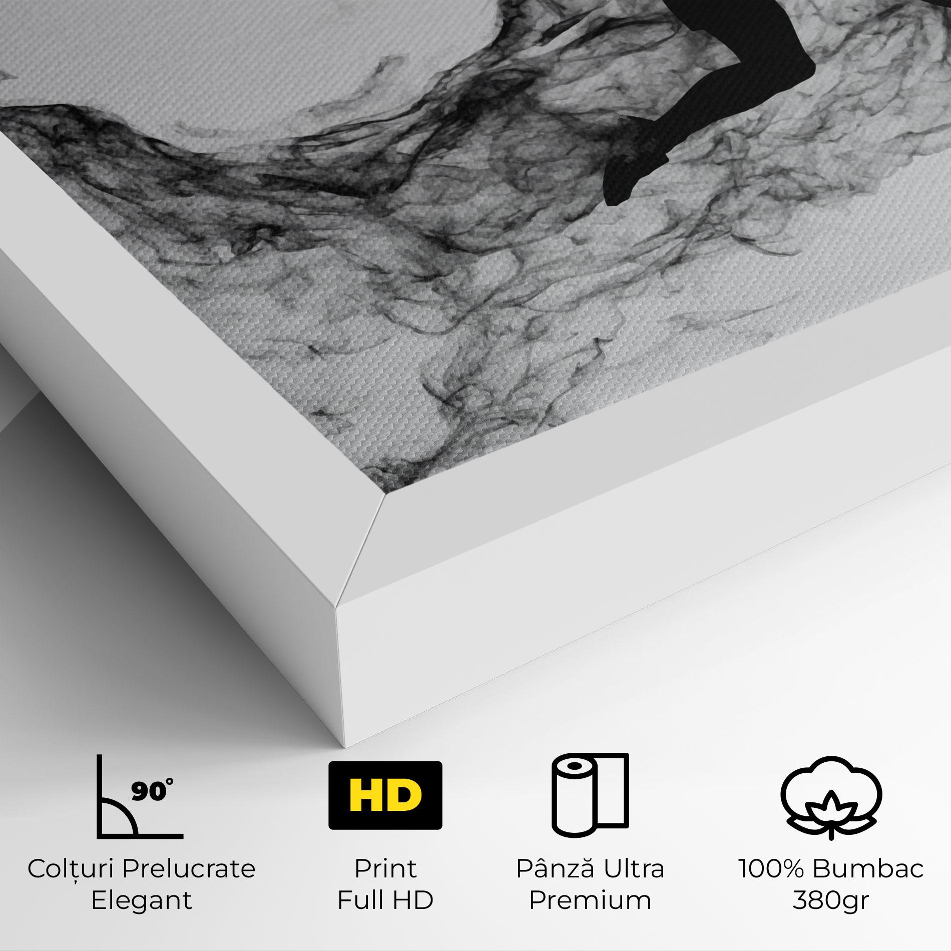 Tablou Canvas Black Smoke Tennis mockup 4
