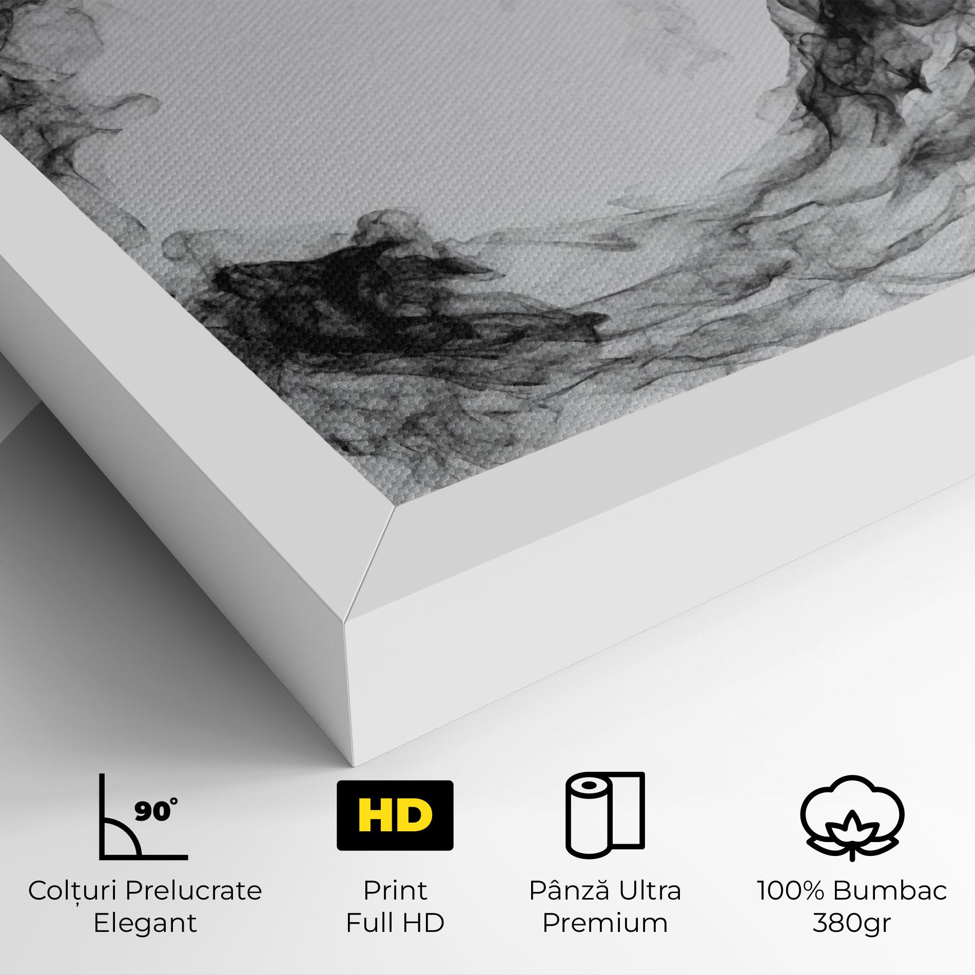 Tablou Canvas Black Tennis Smoke mockup 4