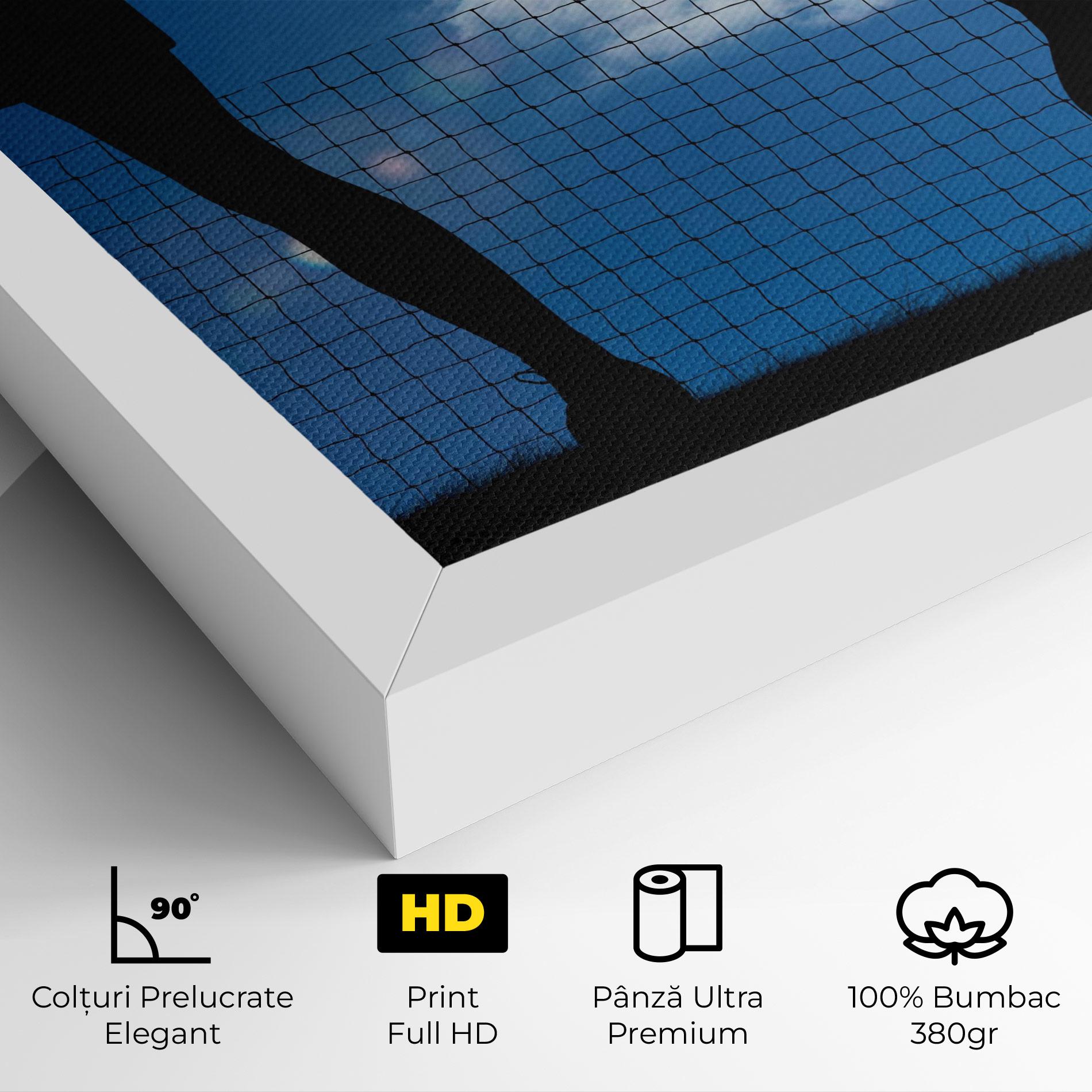 Tablou Canvas Blue Sky Tennis mockup 4