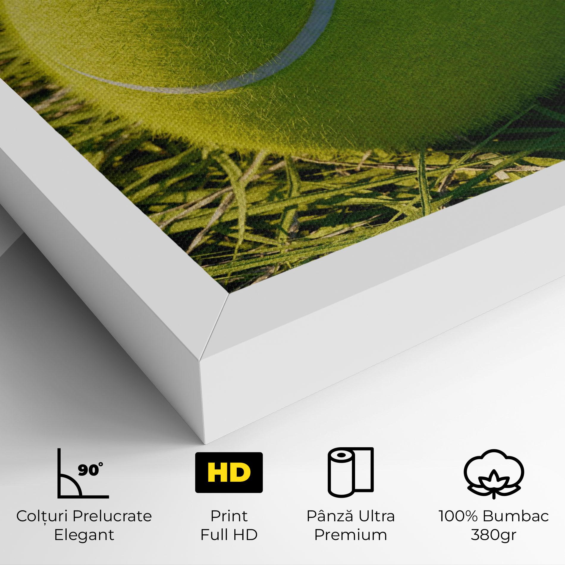 Tablou Canvas Green Tennis Ball mockup 4
