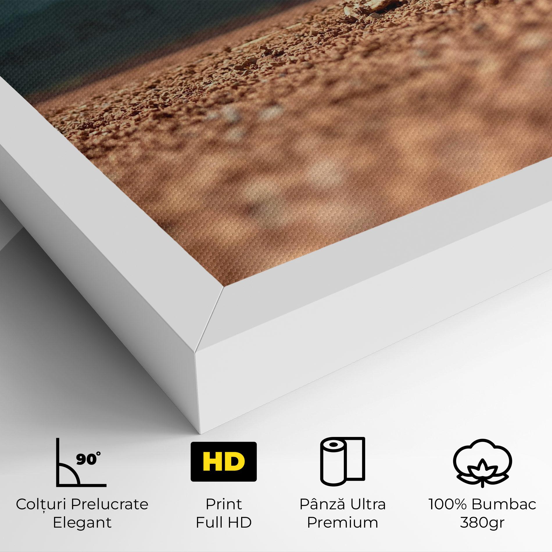 Tablou Canvas Lost Tennis Ball mockup 4