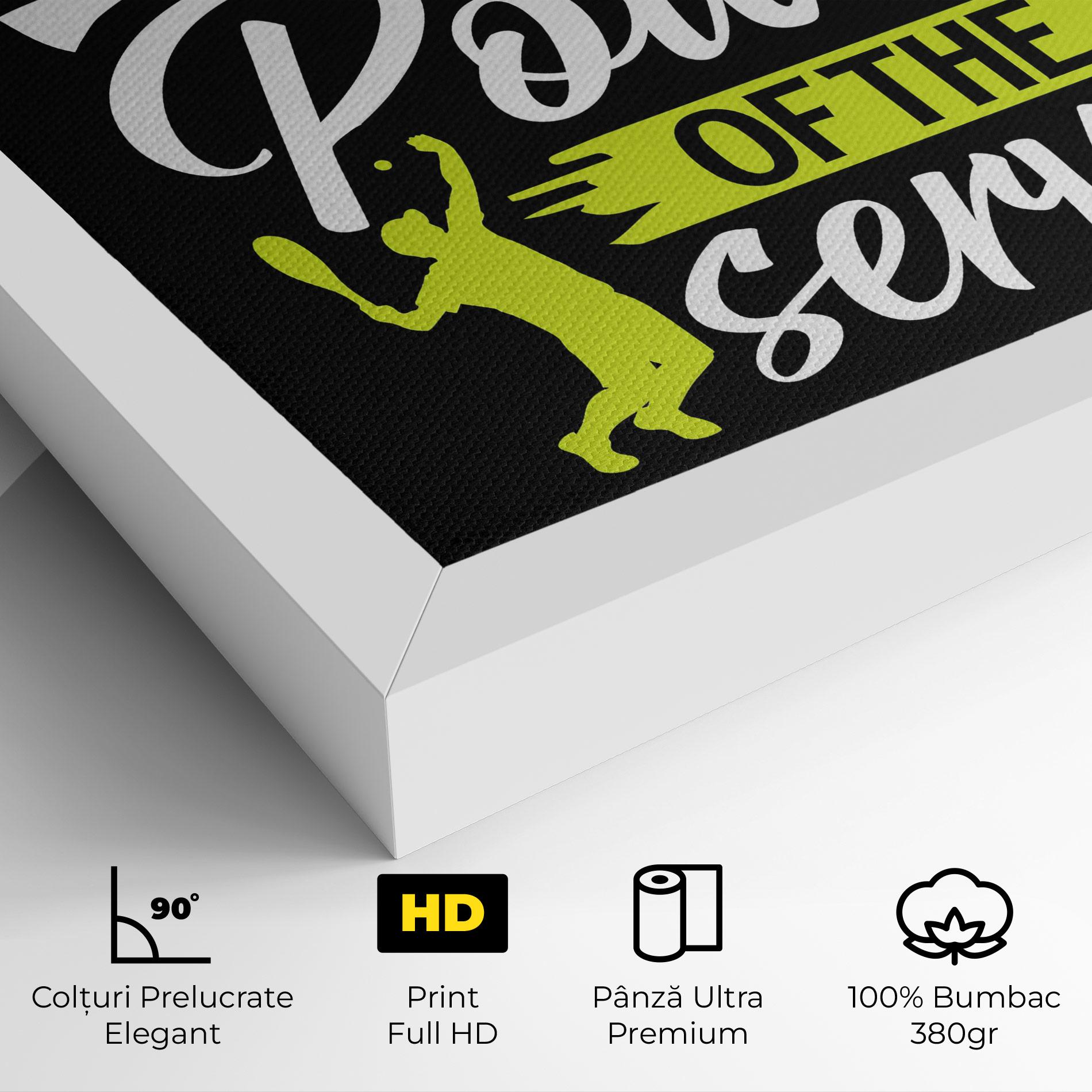 Tablou Canvas Power Serve mockup 4