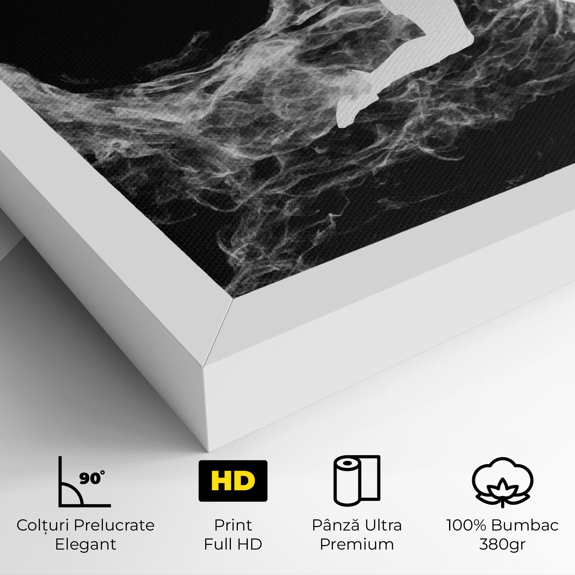 Tablou Canvas Tennis White Smoke mockup 4