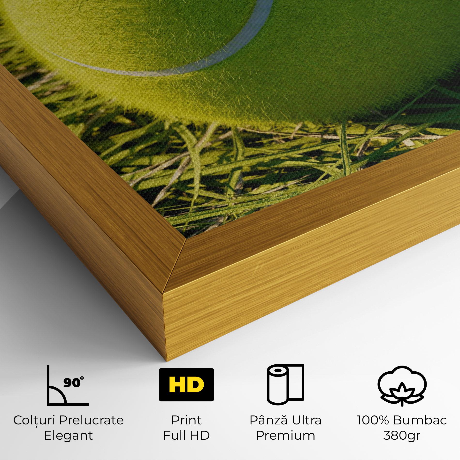 Tablou Canvas Green Tennis Ball mockup 4