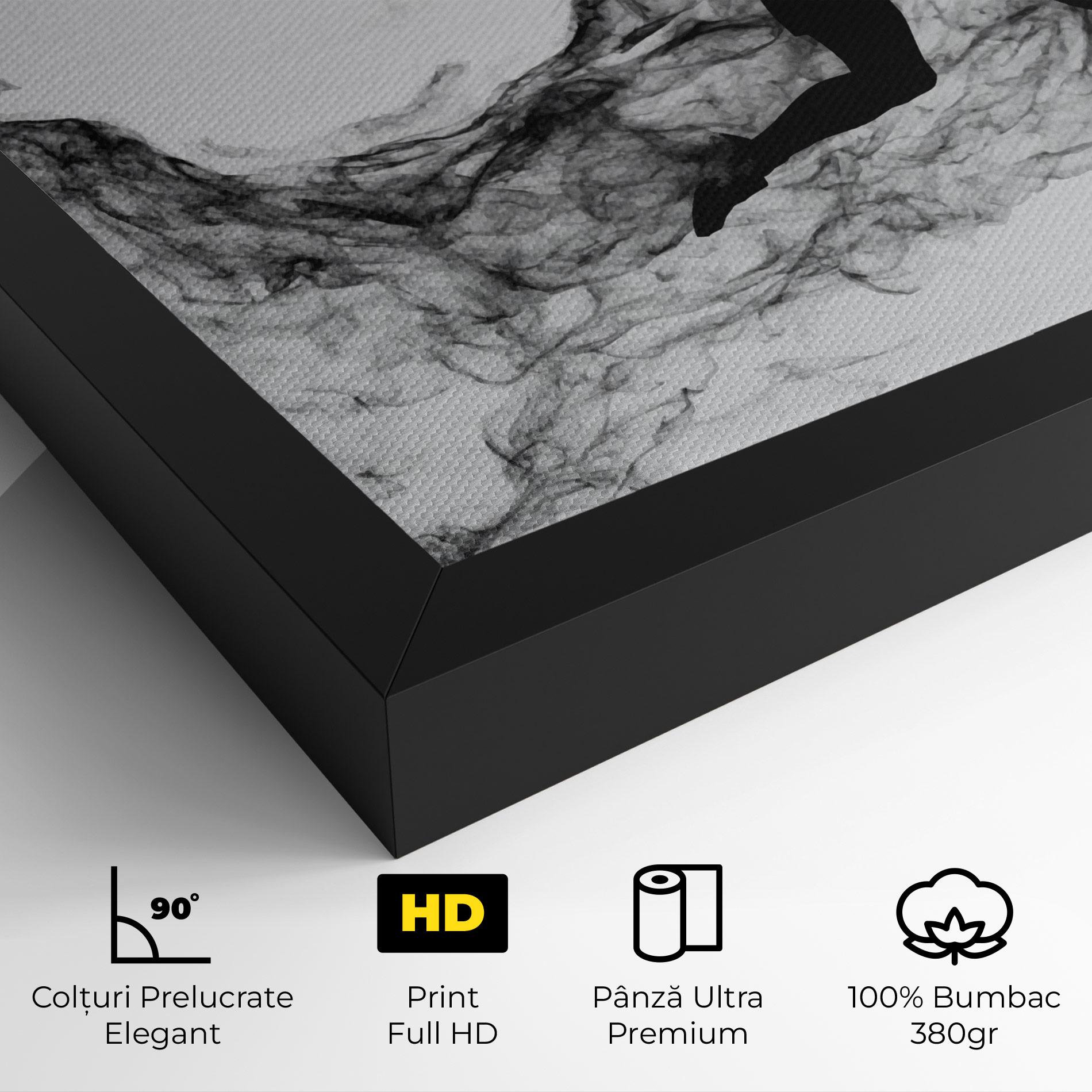Tablou Canvas Black Smoke Tennis mockup 4