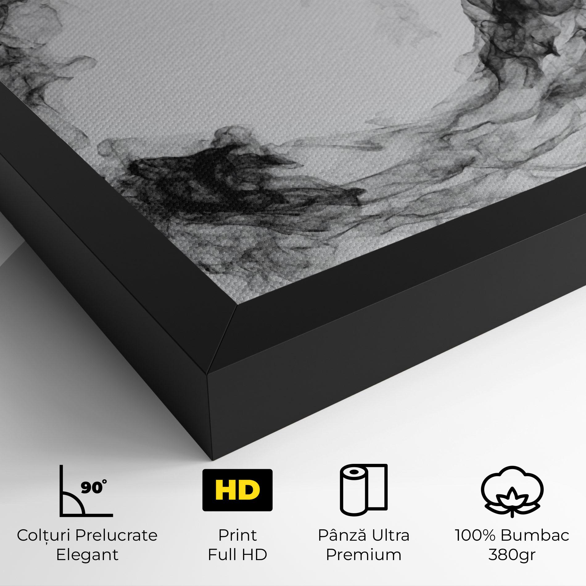 Tablou Canvas Black Tennis Smoke mockup 4