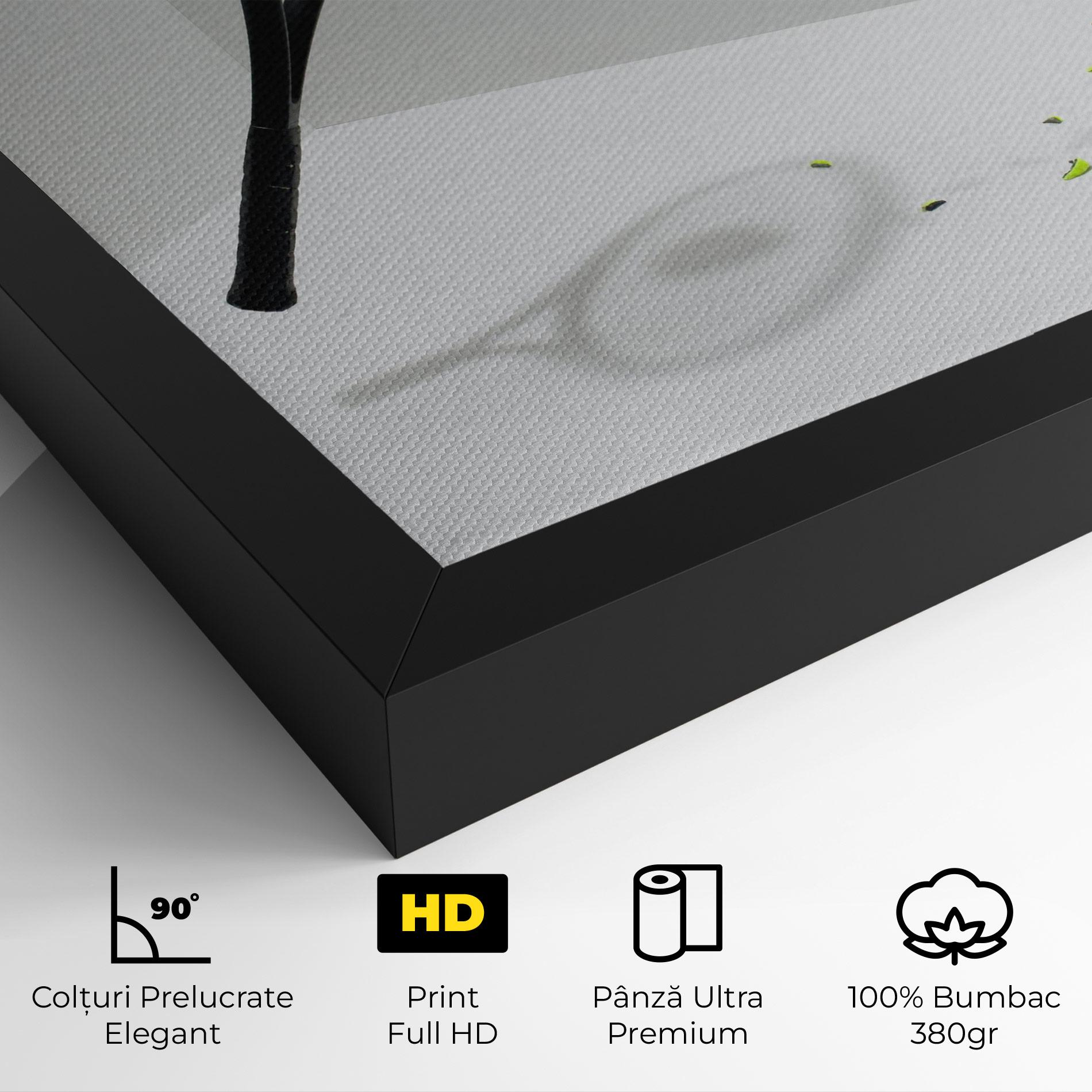 Tablou Canvas Broken Tennis Ball mockup 4