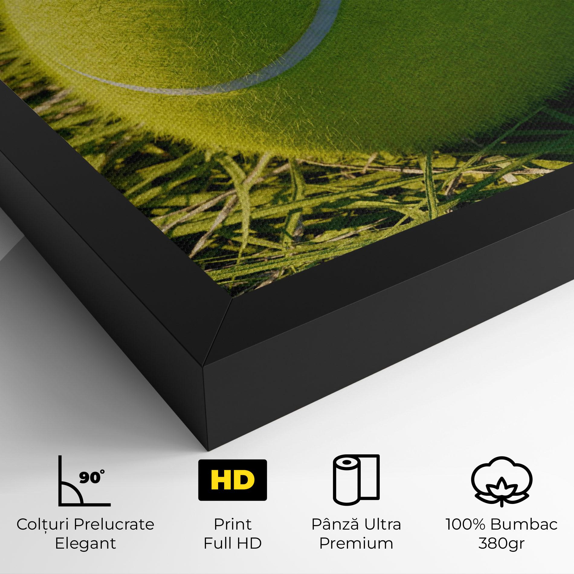 Tablou Canvas Green Tennis Ball mockup 4