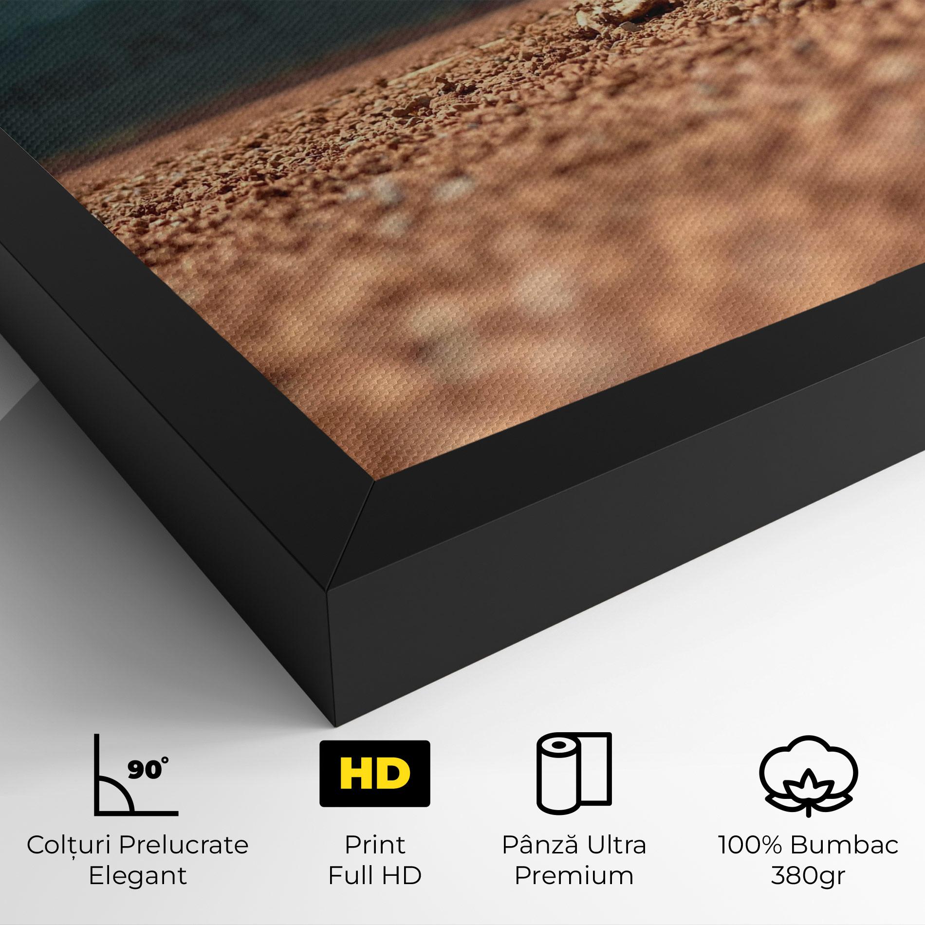 Tablou Canvas Lost Tennis Ball mockup 4