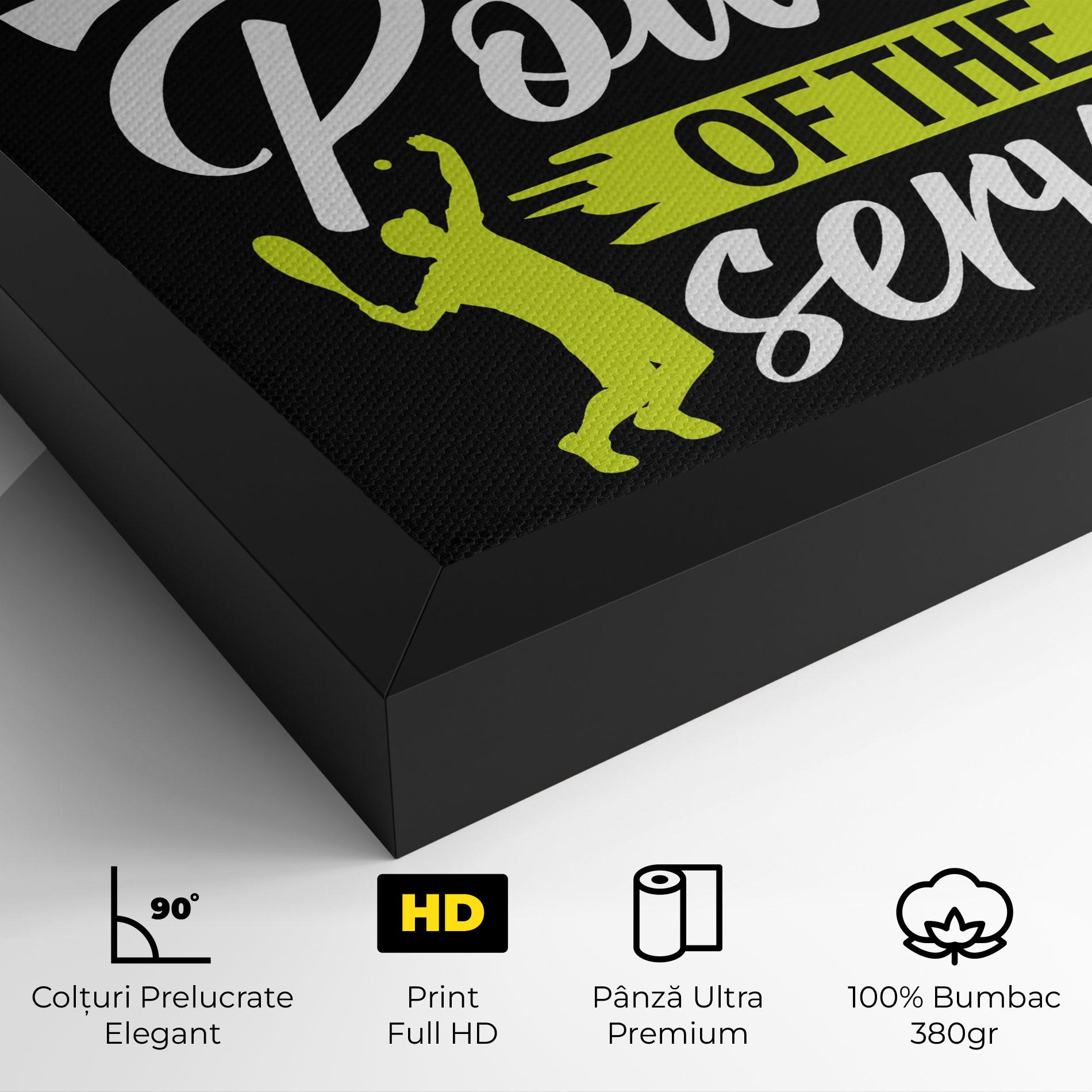 Tablou Canvas Power Serve mockup 4