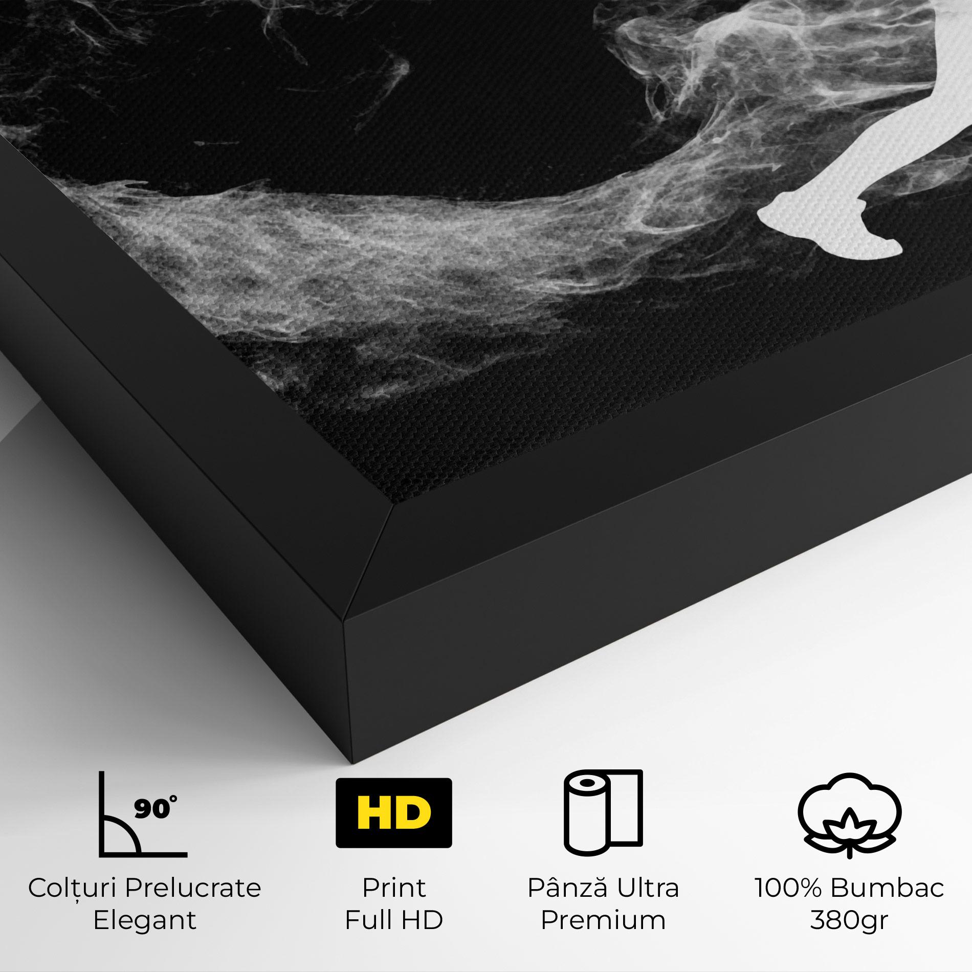 Tablou Canvas Tennis Spoke White mockup 4