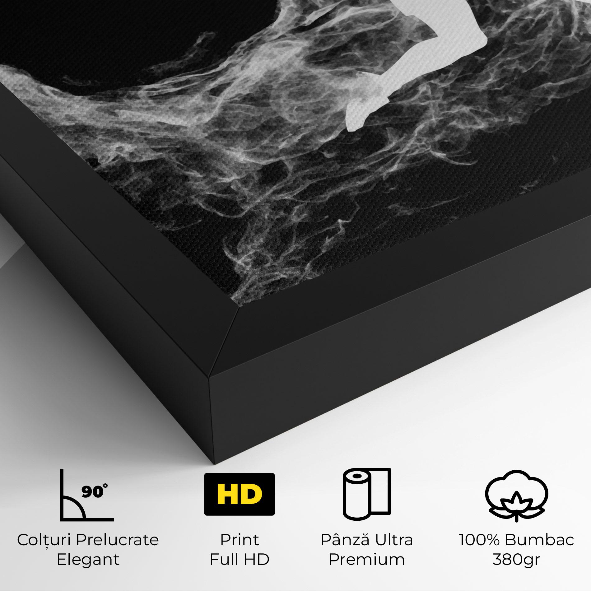 Tablou Canvas Tennis White Smoke mockup 4