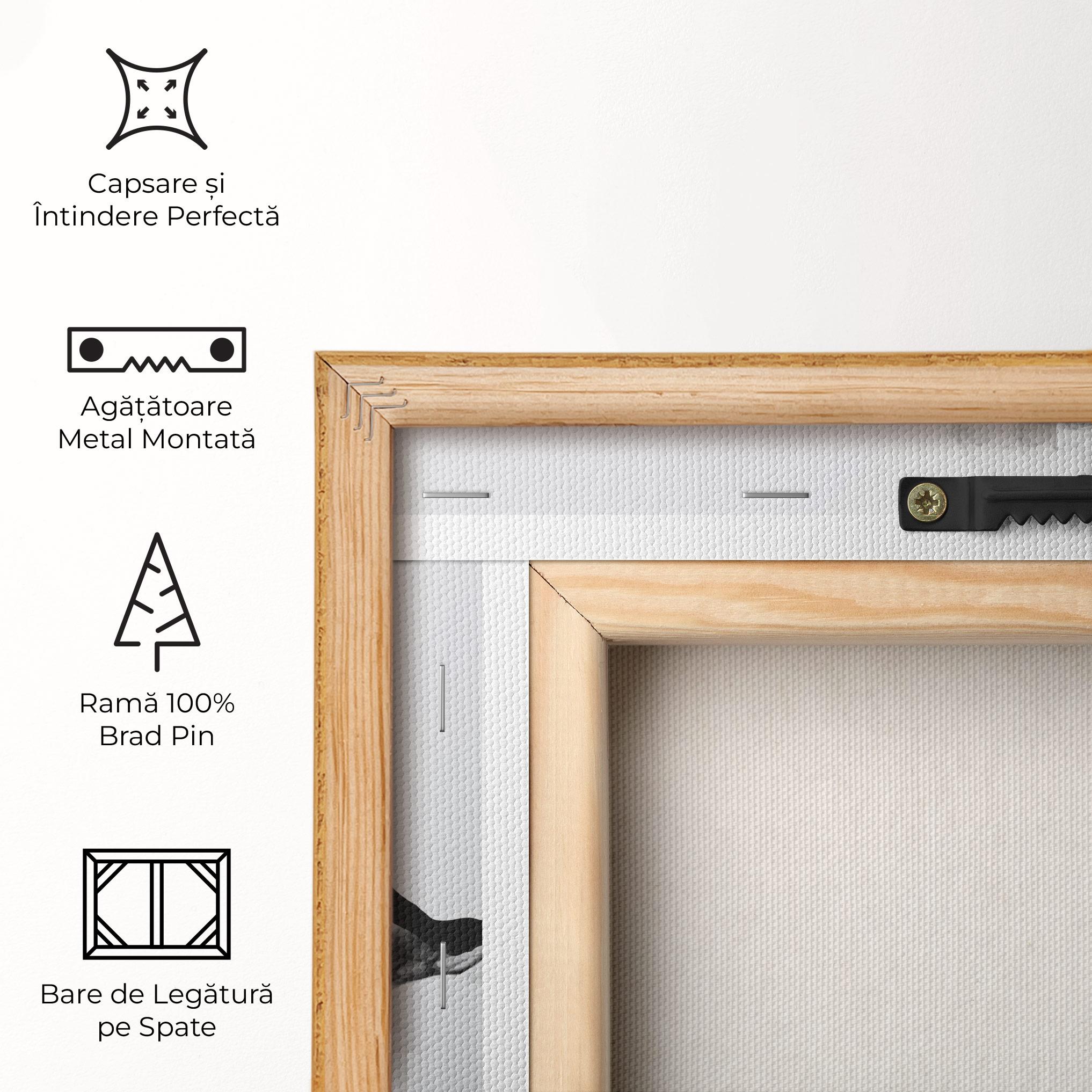 Tablou Canvas Black Smoke Tennis mockup 5