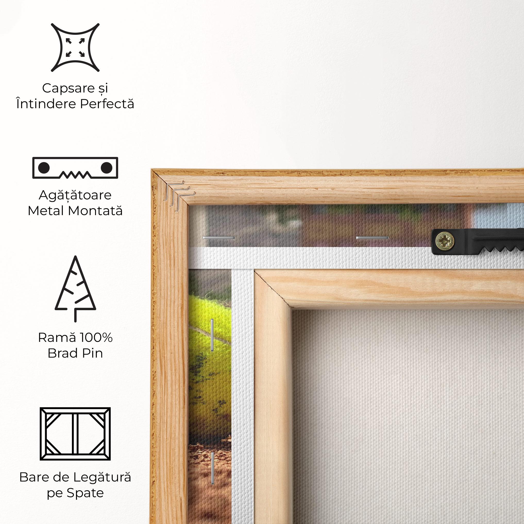 Tablou Canvas Lost Tennis Ball mockup 5