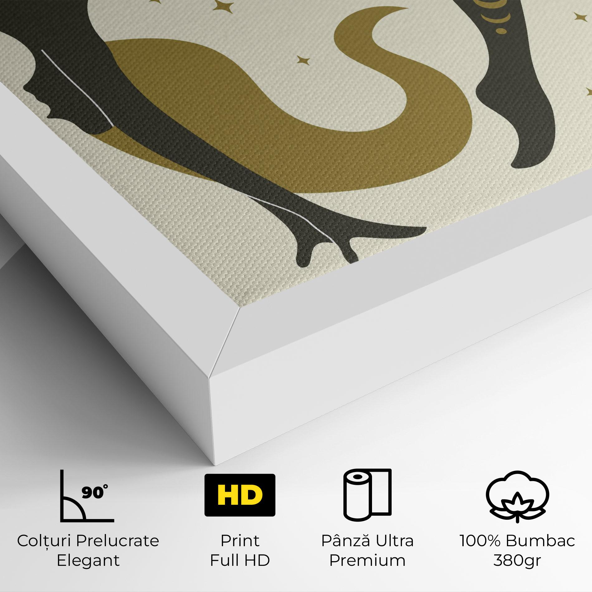 Tablou Canvas Chamatkarasana mockup 4