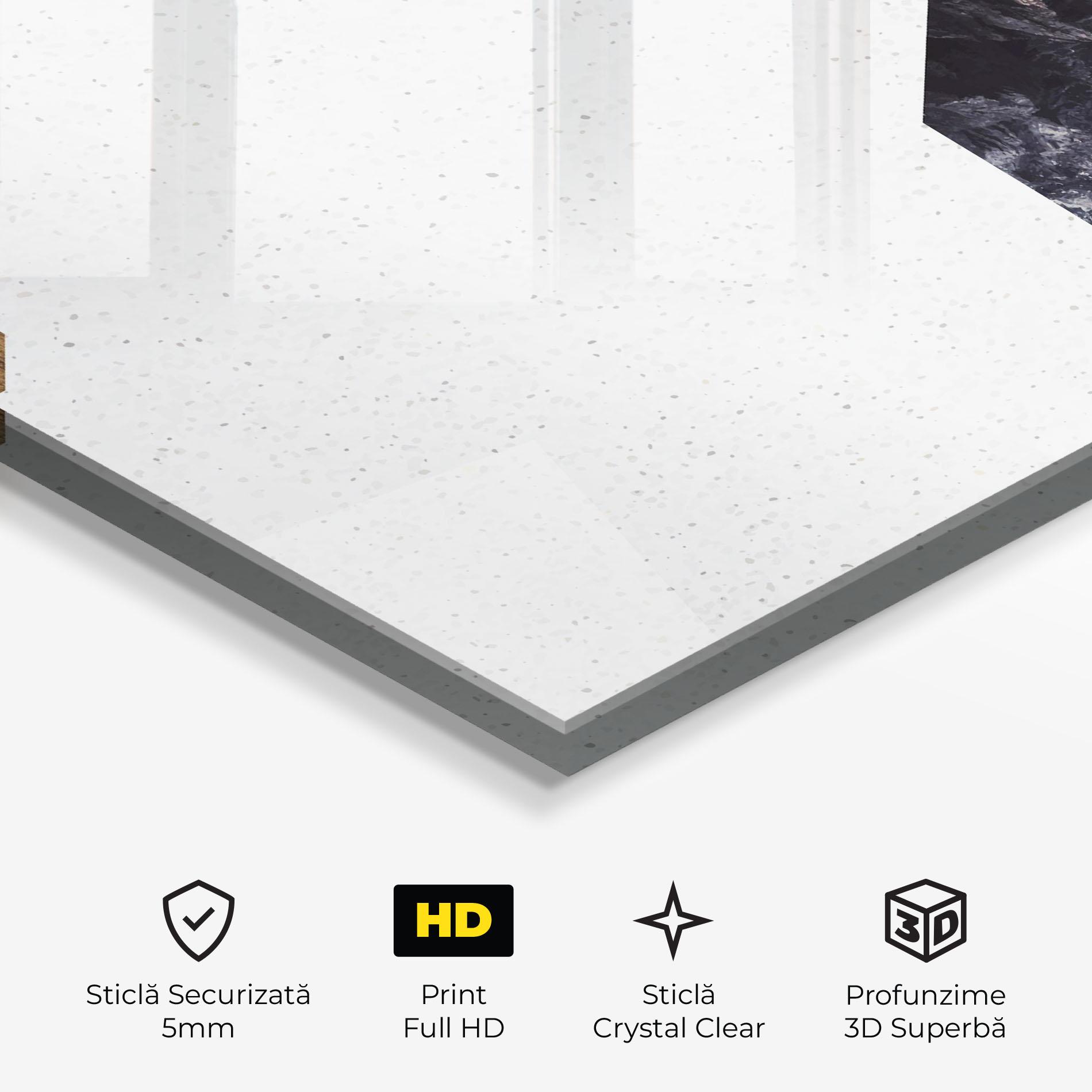 Tablou Sticla Big Hexagon mockup 3