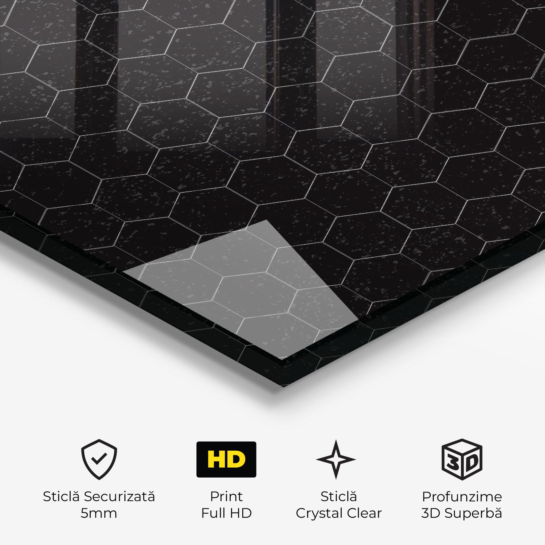 Tablou Sticla Black Hexagon mockup 3