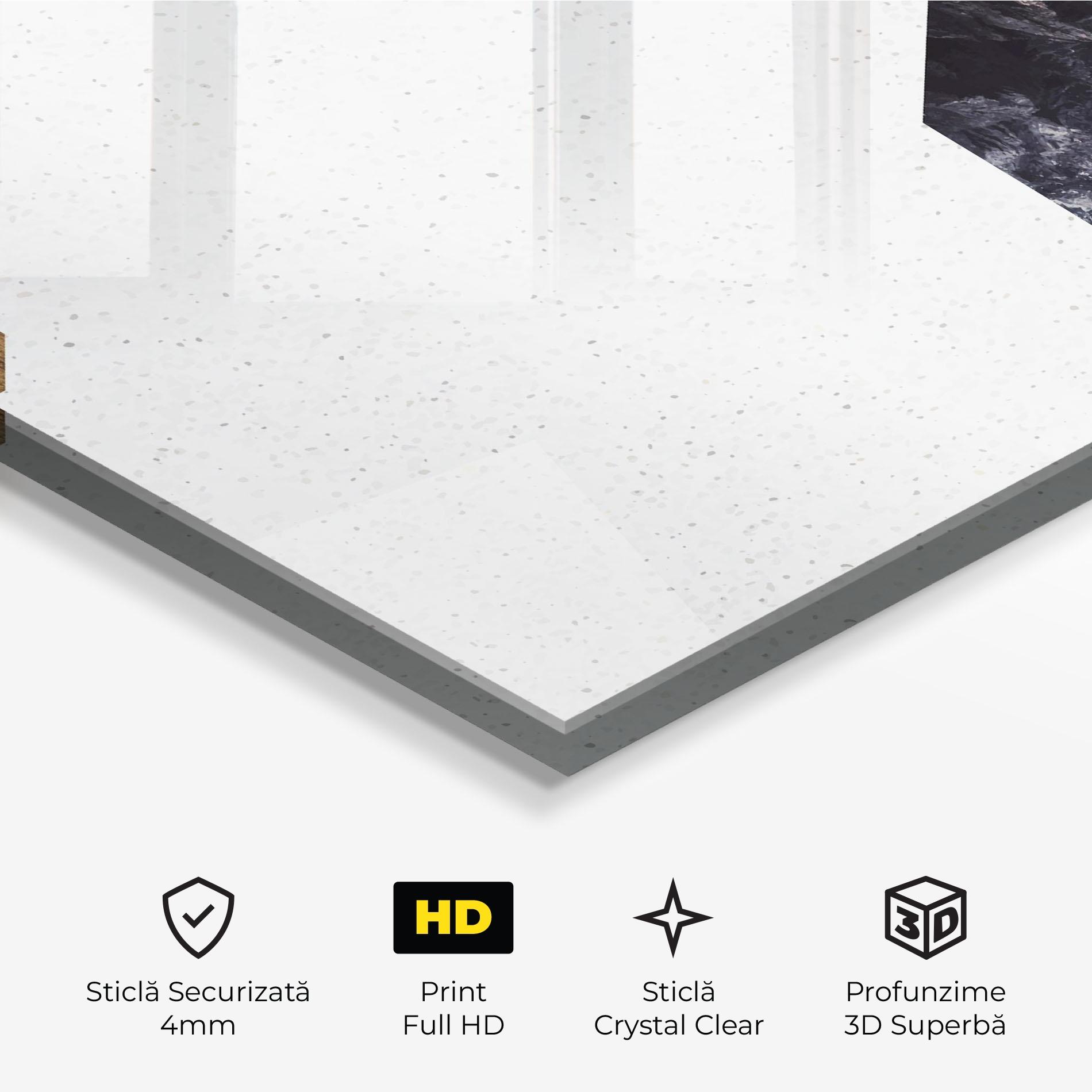 Tablou Sticla Big Hexagon mockup 3