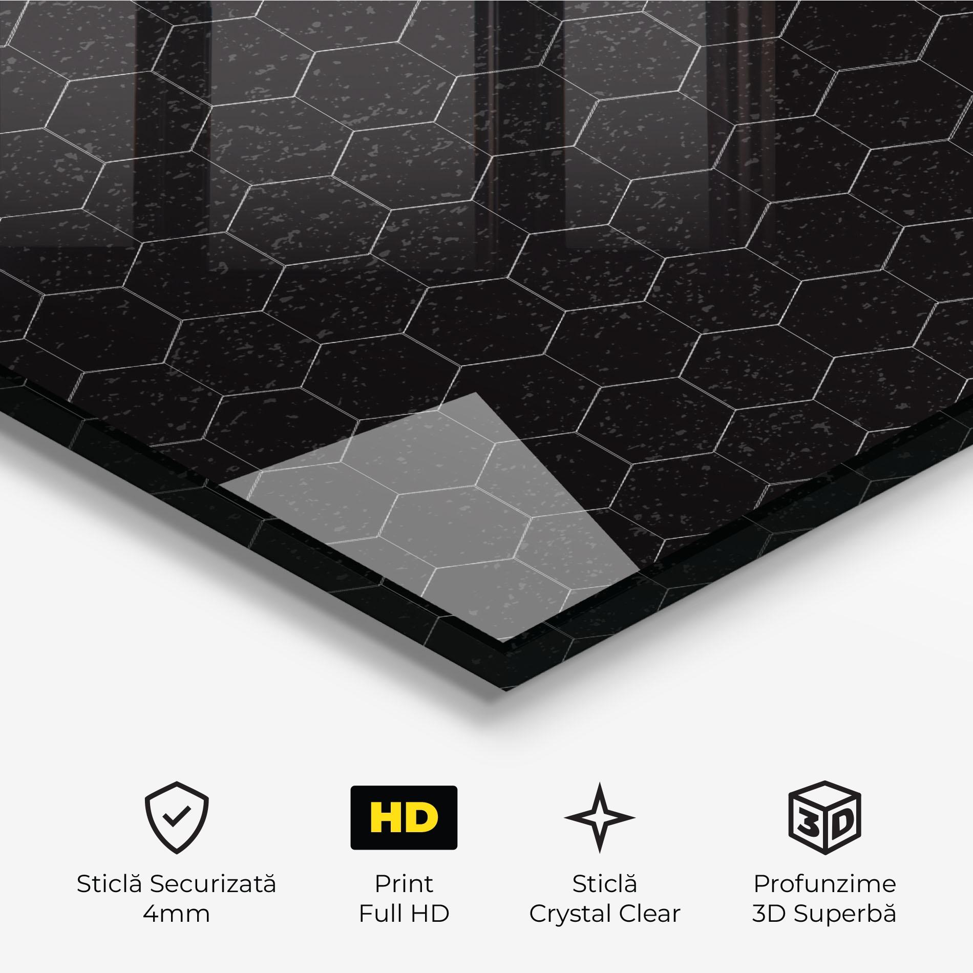 Tablou Sticla Black Hexagon mockup 3