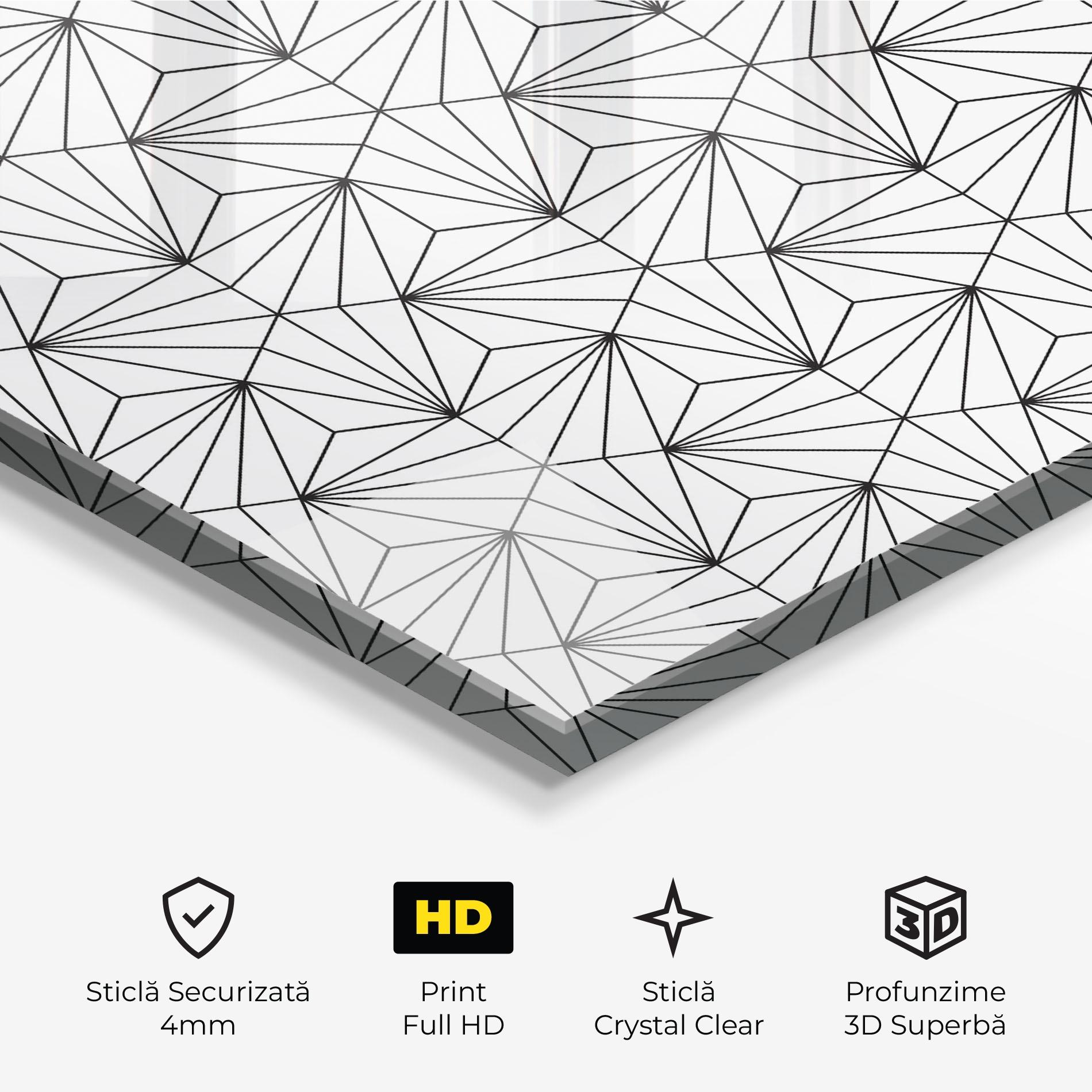 Tablou Sticla Black Triangle mockup 3