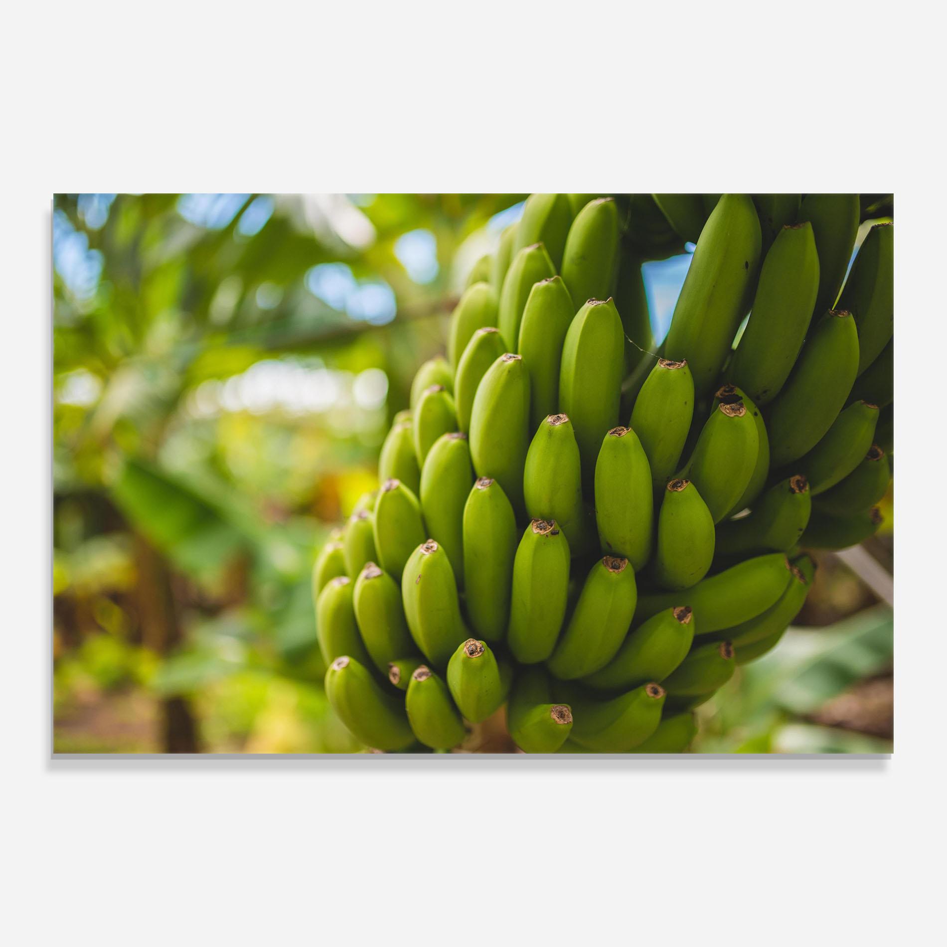 Tablou Sticla Green Banana mockup 0