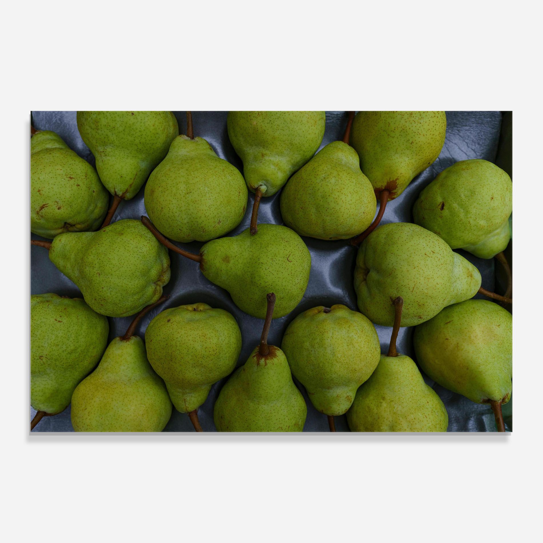 Green Pear mockup 0