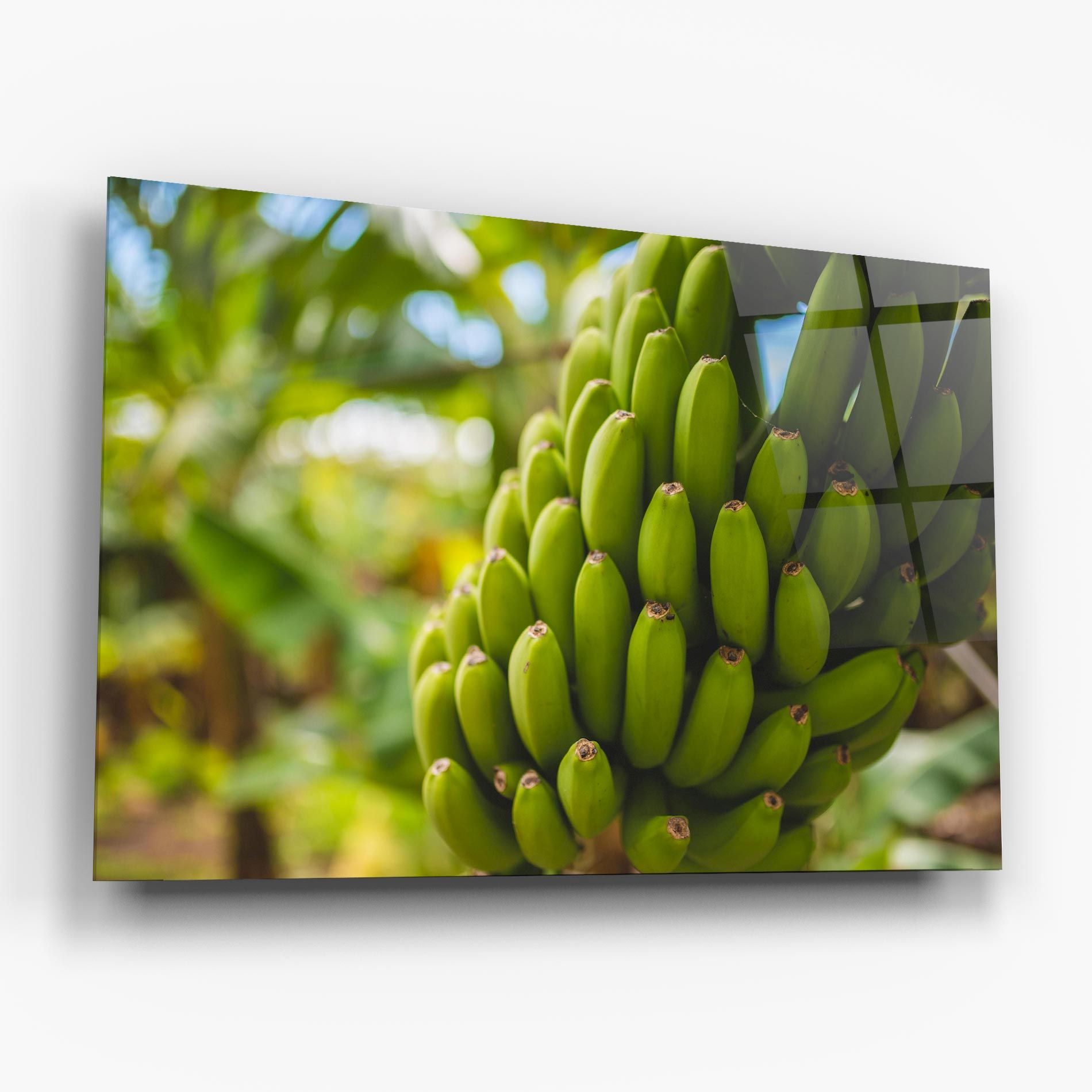 Green Banana mockup 6
