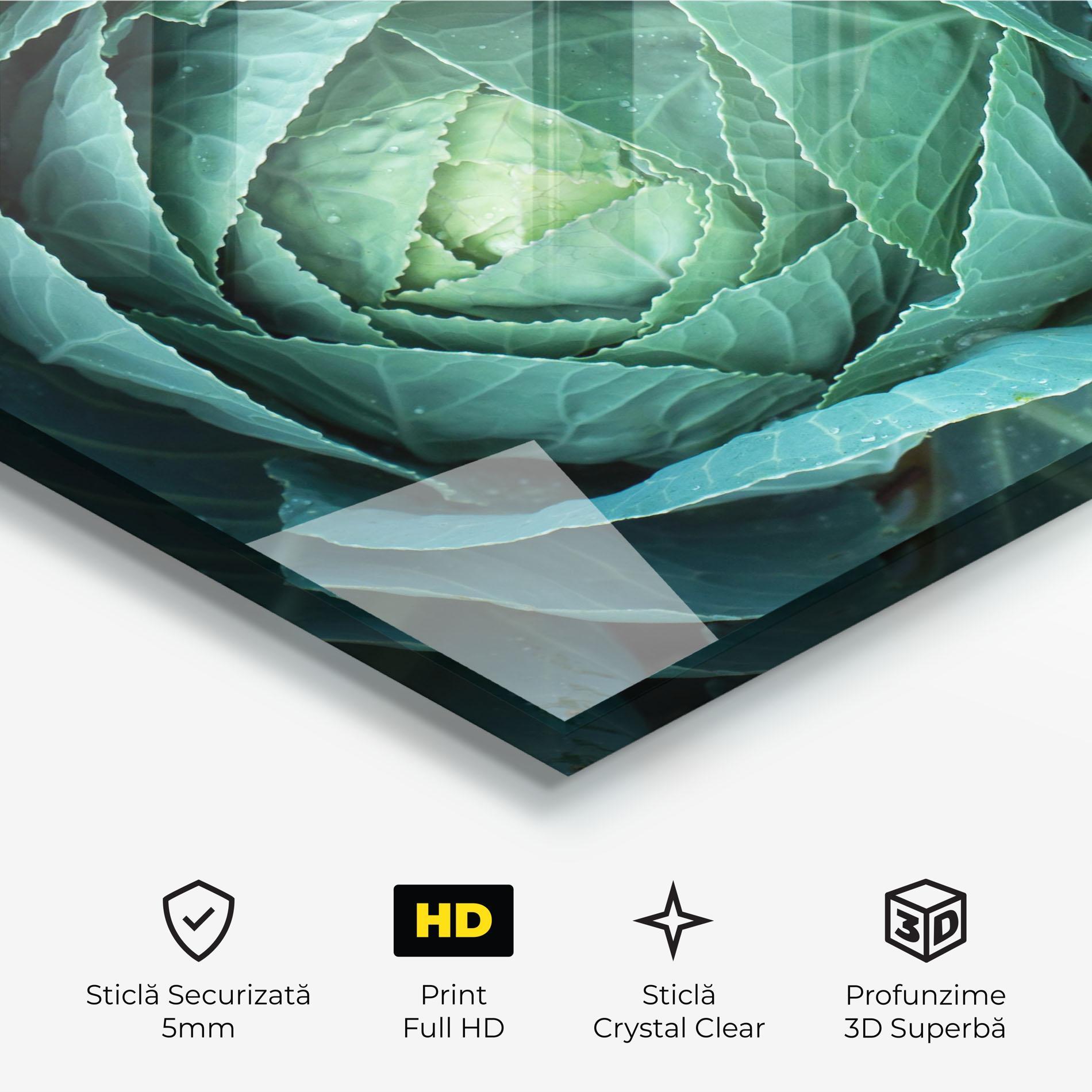 Tablou Sticla Blue Lettuce mockup 3