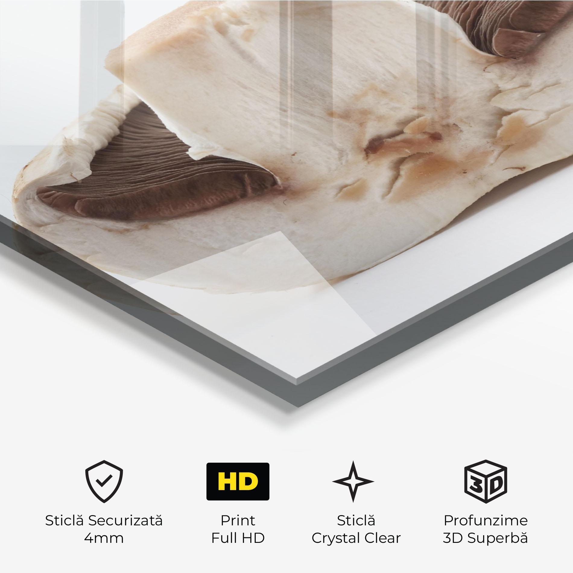 Tablou Sticla Cut Mushroom mockup 3