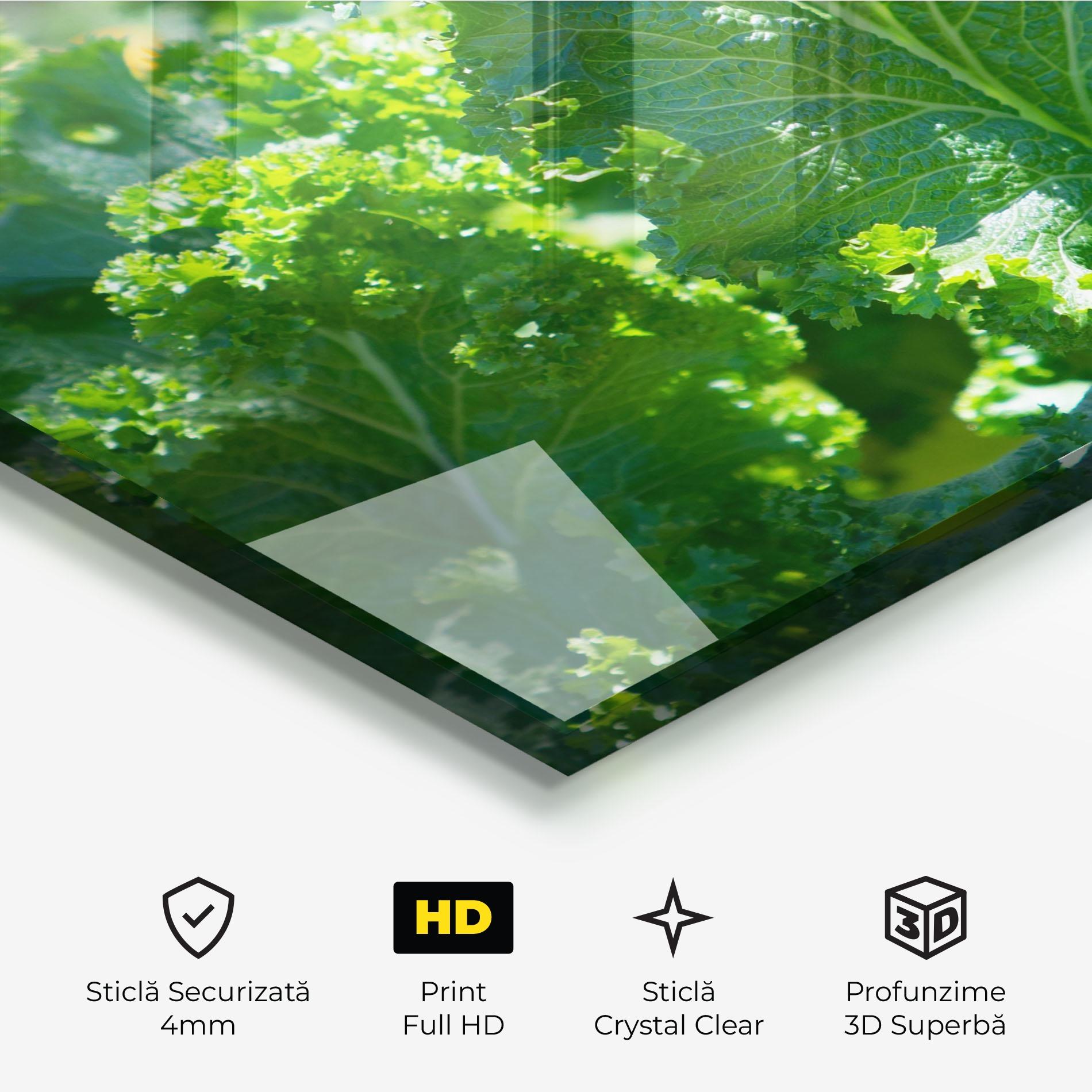 Tablou Sticla Lettuce View mockup 3