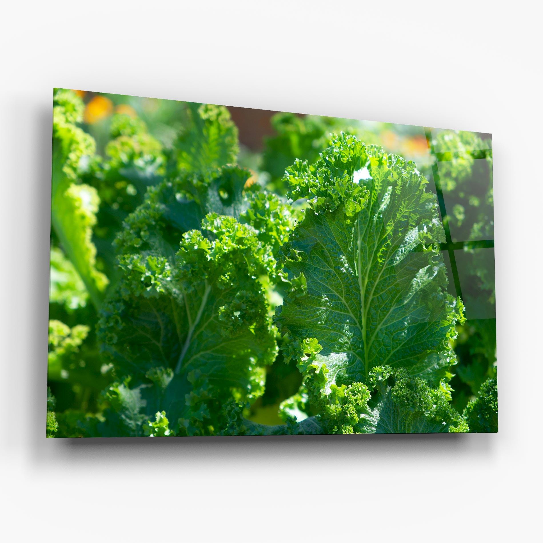 Tablou Sticla Lettuce View mockup 6