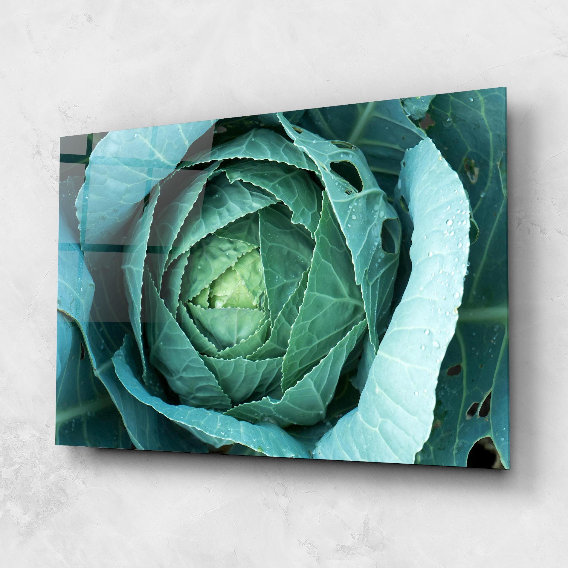 Blue Lettuce mockup 1