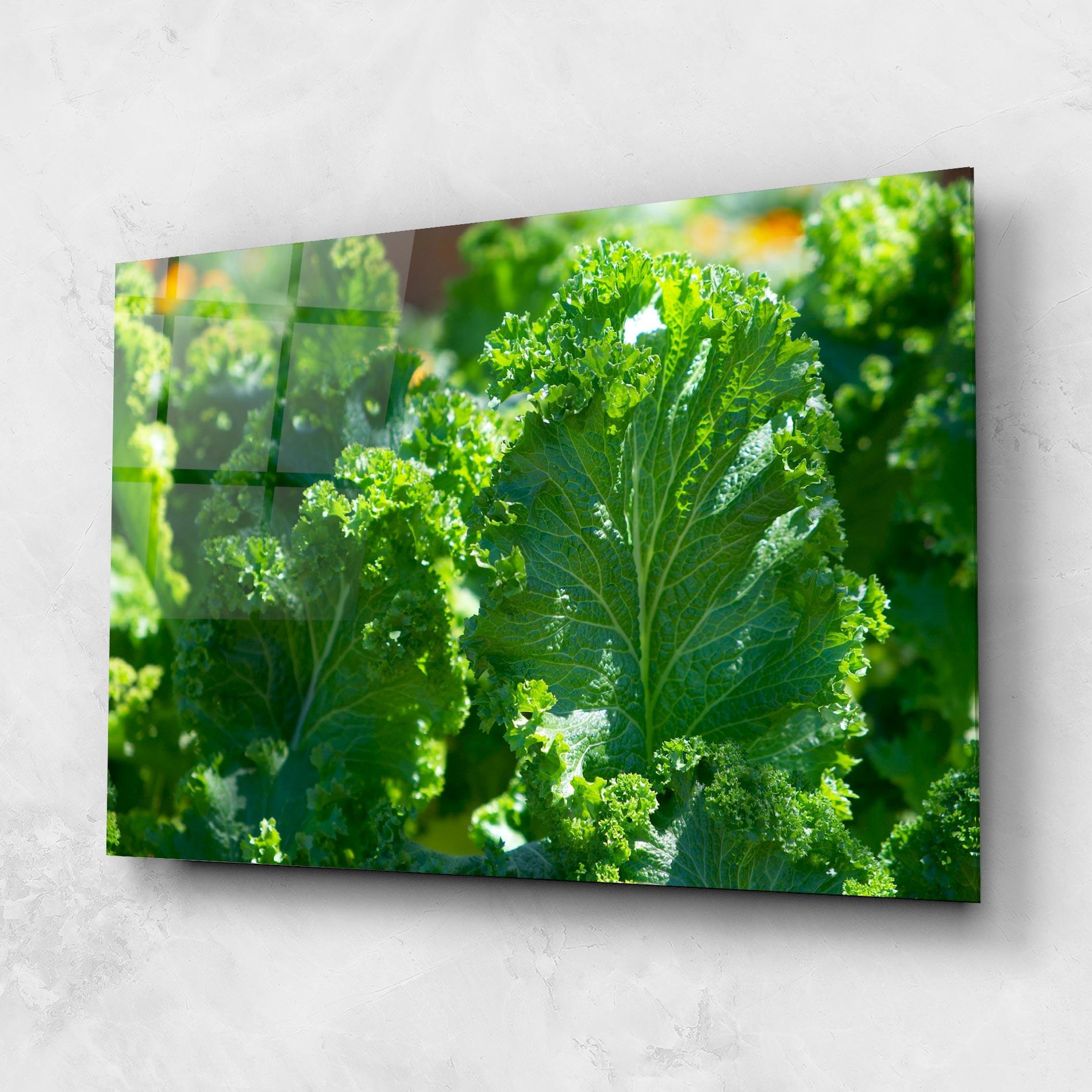 Tablou Sticla Lettuce View mockup 1