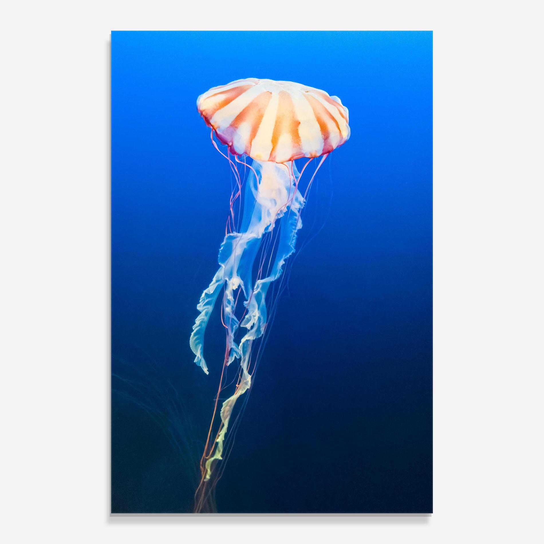 Tablou Sticla Cream Jellyfish mockup 0
