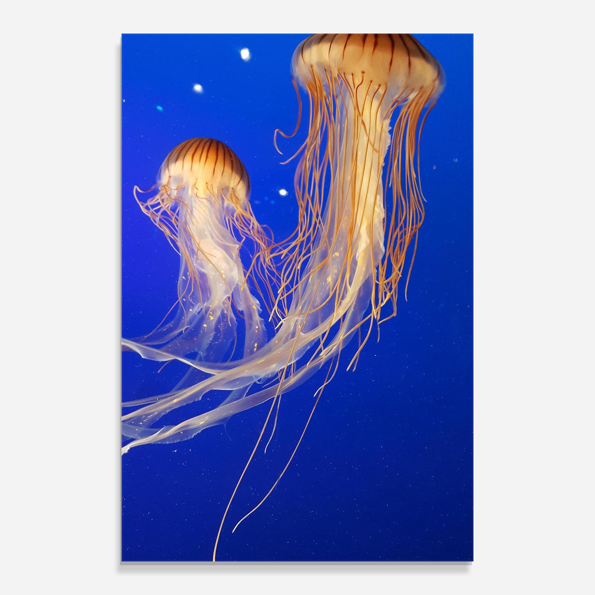 Tablou Sticla Light Orange Jellyfish mockup 0